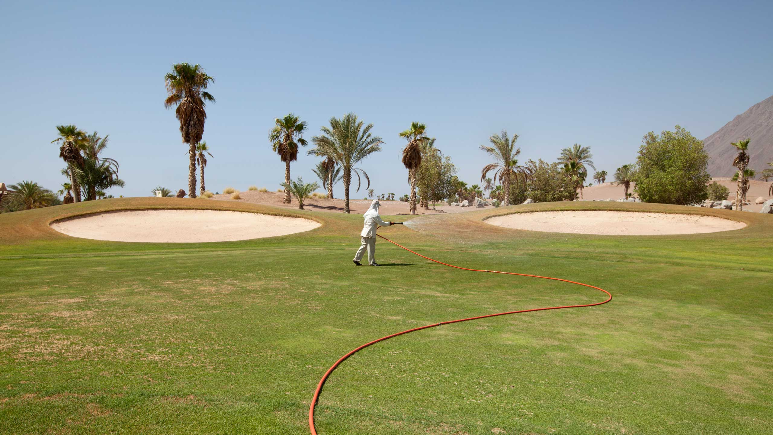 Mann in Weißem Hemd Und Hose, Der Tagsüber Auf Der Grünen Wiese Steht. Wallpaper in 2560x1440 Resolution