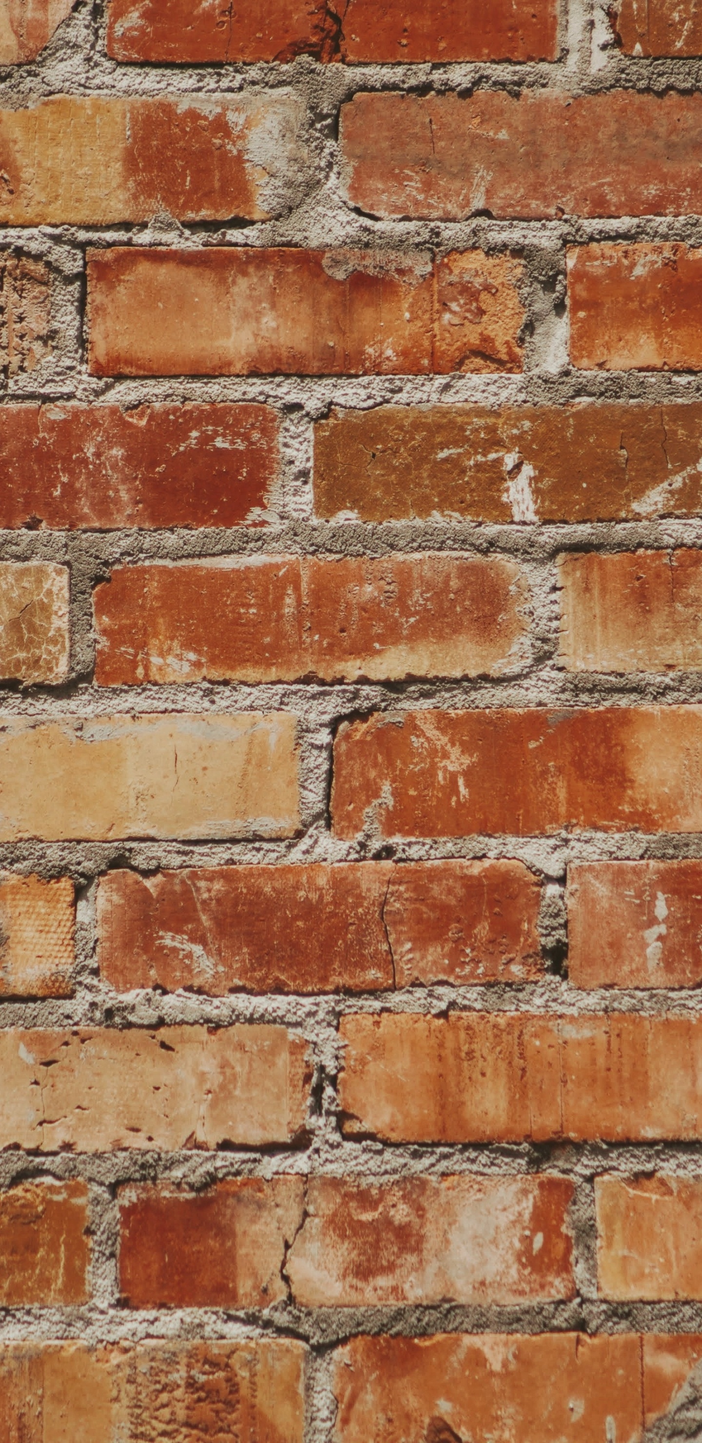 Brown and White Brick Wall. Wallpaper in 1440x2960 Resolution