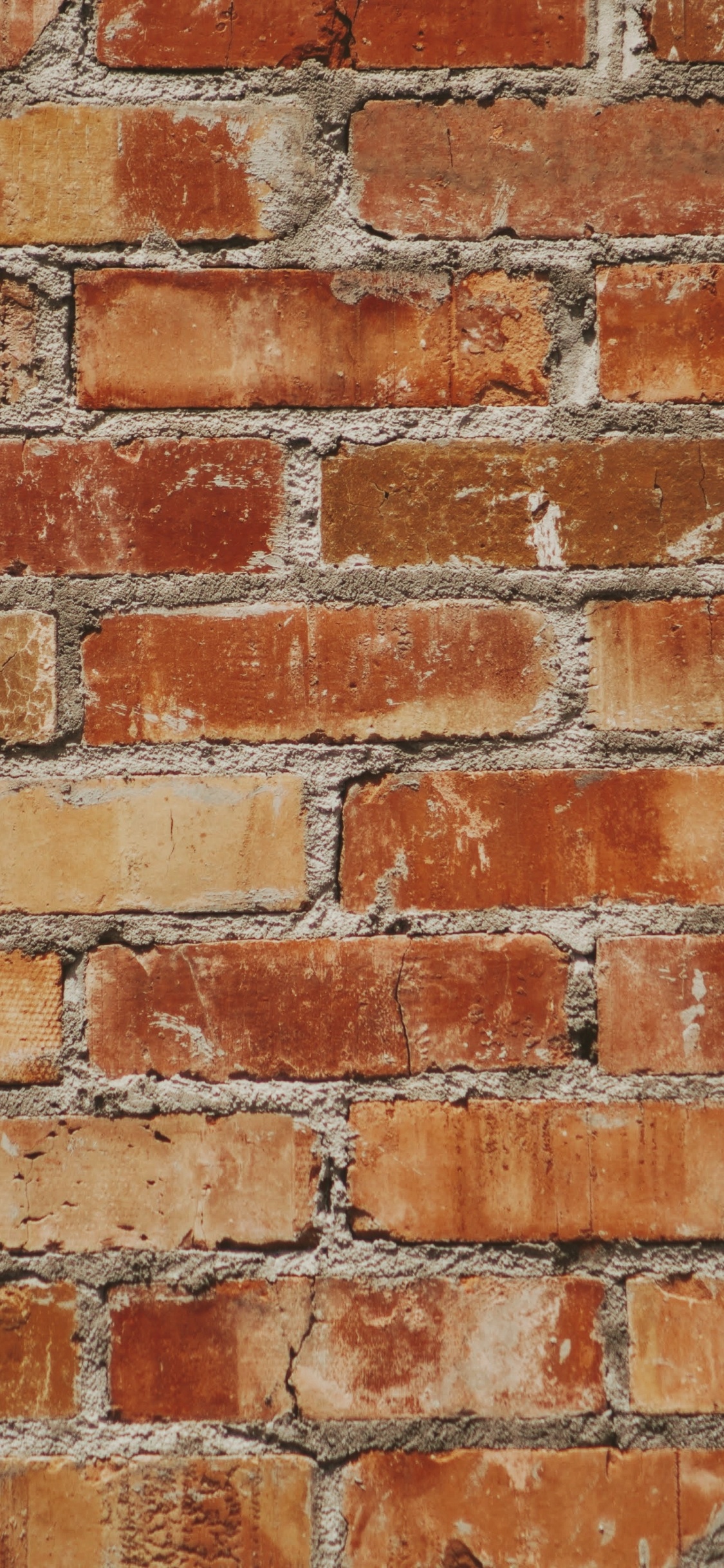 Mur de Briques Marron et Blanc. Wallpaper in 1125x2436 Resolution