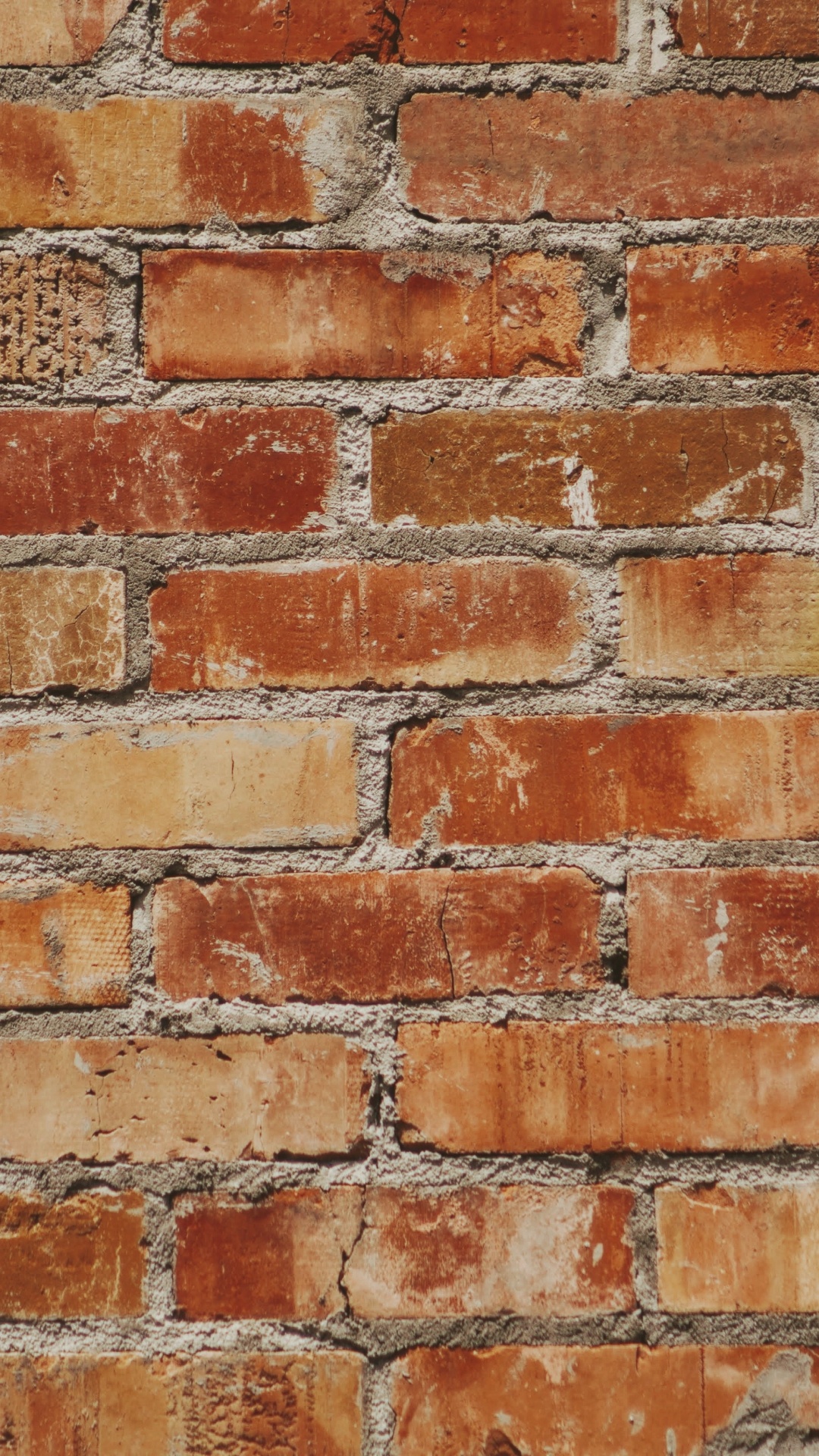 Braune Und Weiße Mauer. Wallpaper in 1080x1920 Resolution