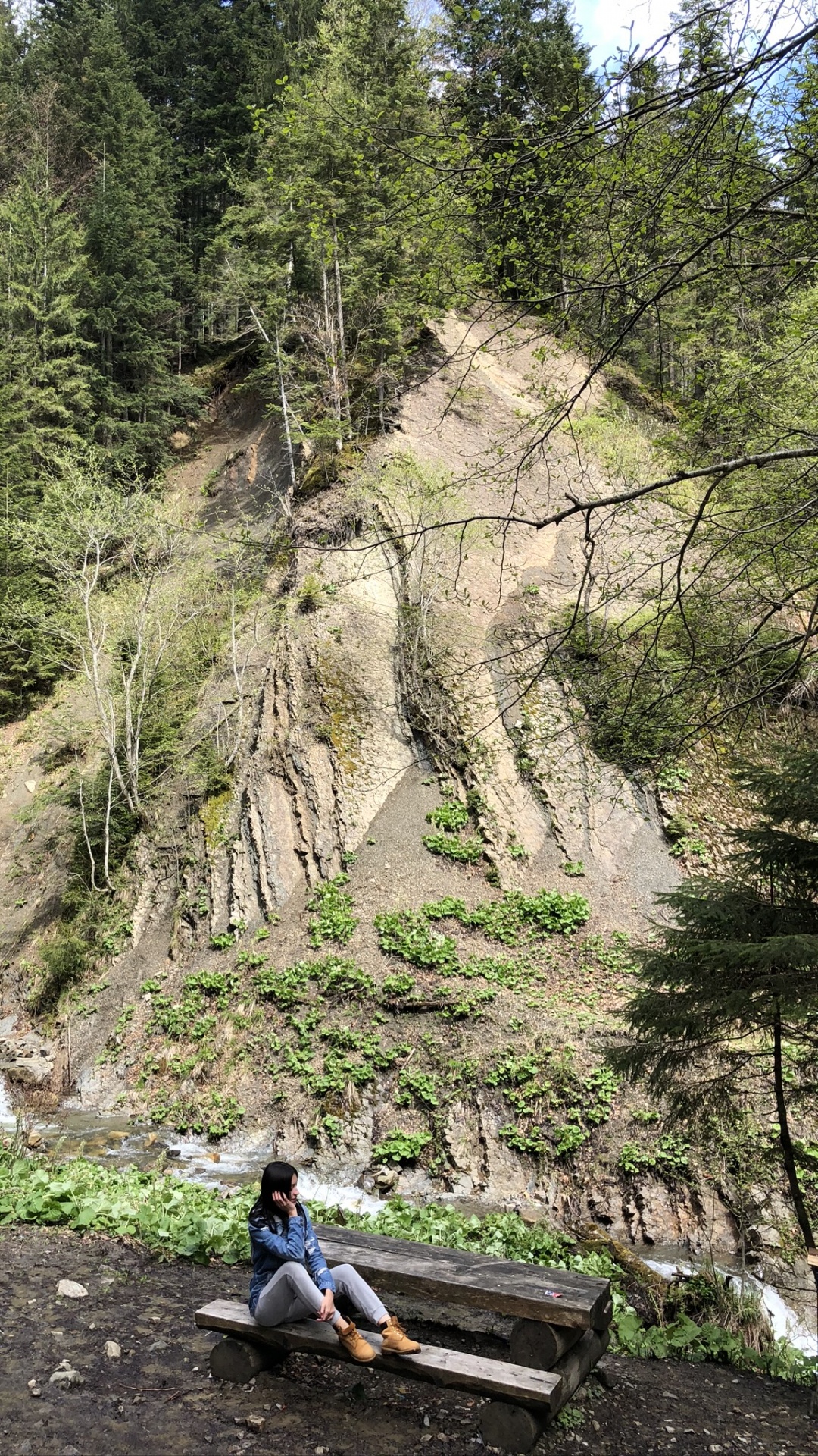 地质学, 露头, 森林, 荒野, 冒险 壁纸 1080x1920 允许