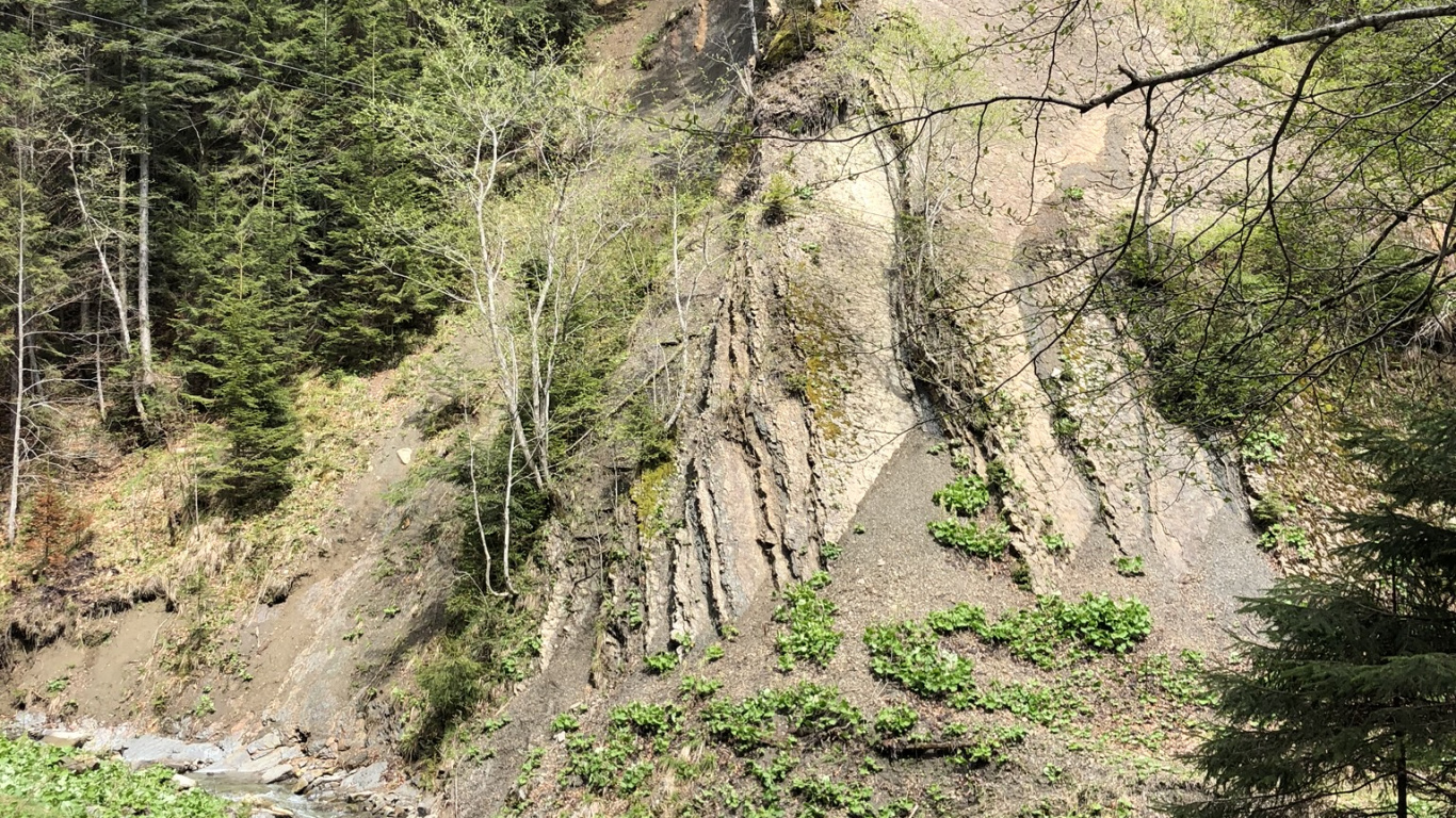 Géologie, Affleurement, Forêt, Soubassement, Aventure. Wallpaper in 1366x768 Resolution