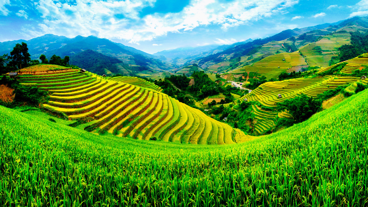 Green Grass Field Under Blue Sky During Daytime. Wallpaper in 1280x720 Resolution