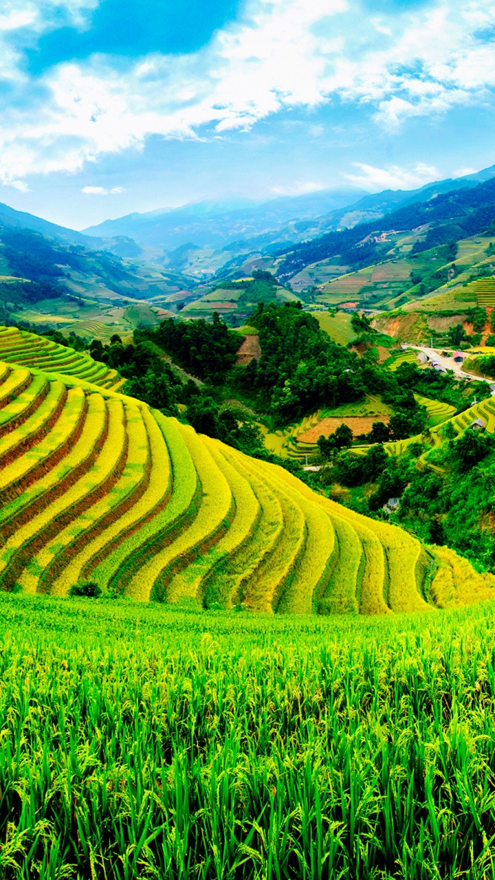 Green Grass Field Under Blue Sky During Daytime. Wallpaper in 720x1280 Resolution