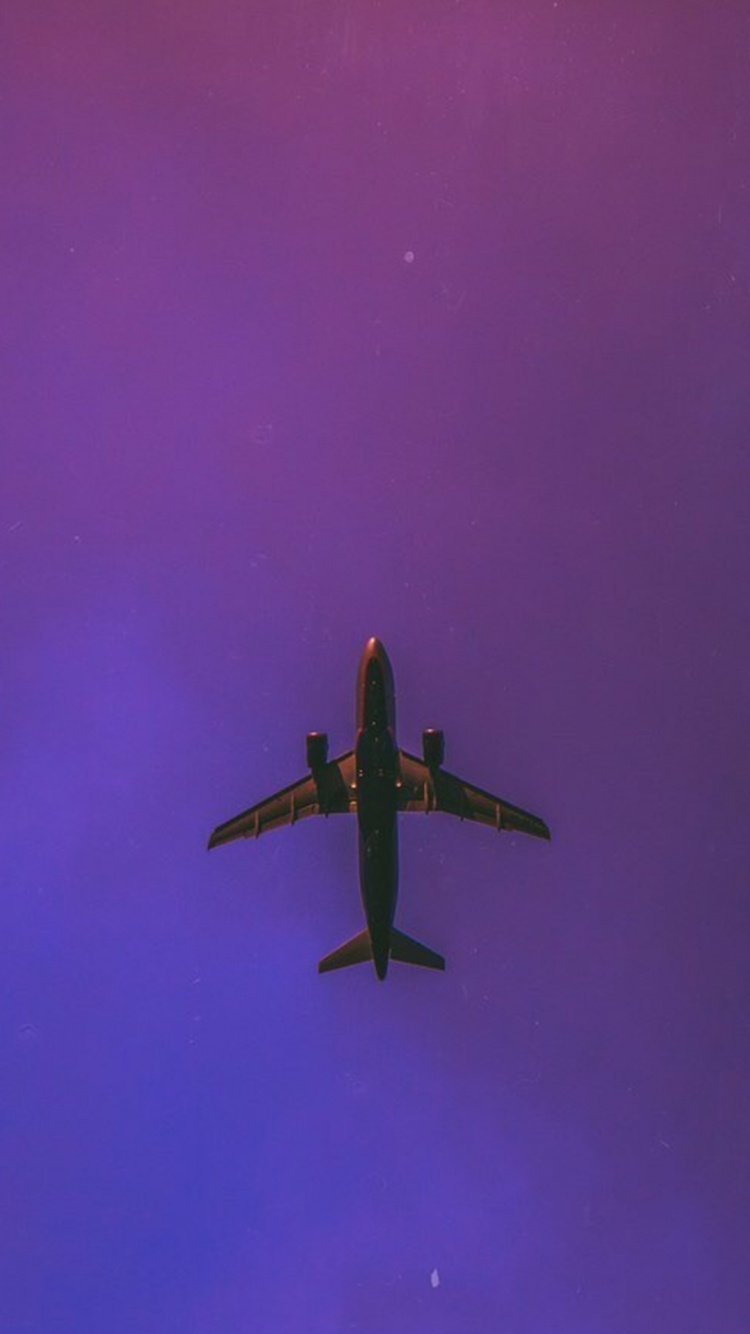 Flight, Aviation, Airplane, Science, Physics. Wallpaper in 750x1334 Resolution
