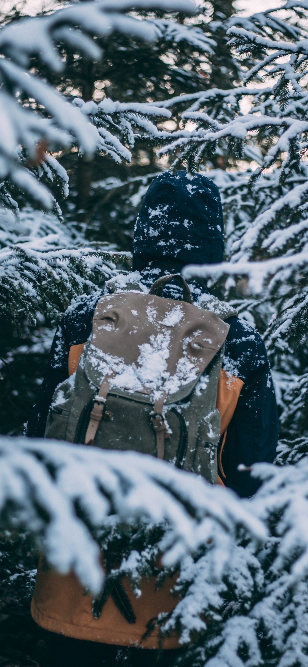 Hombre de Chaqueta Negra y Pantalón Marrón de Pie Sobre un Suelo Cubierto de Nieve Durante el Día. Wallpaper in 1242x2688 Resolution