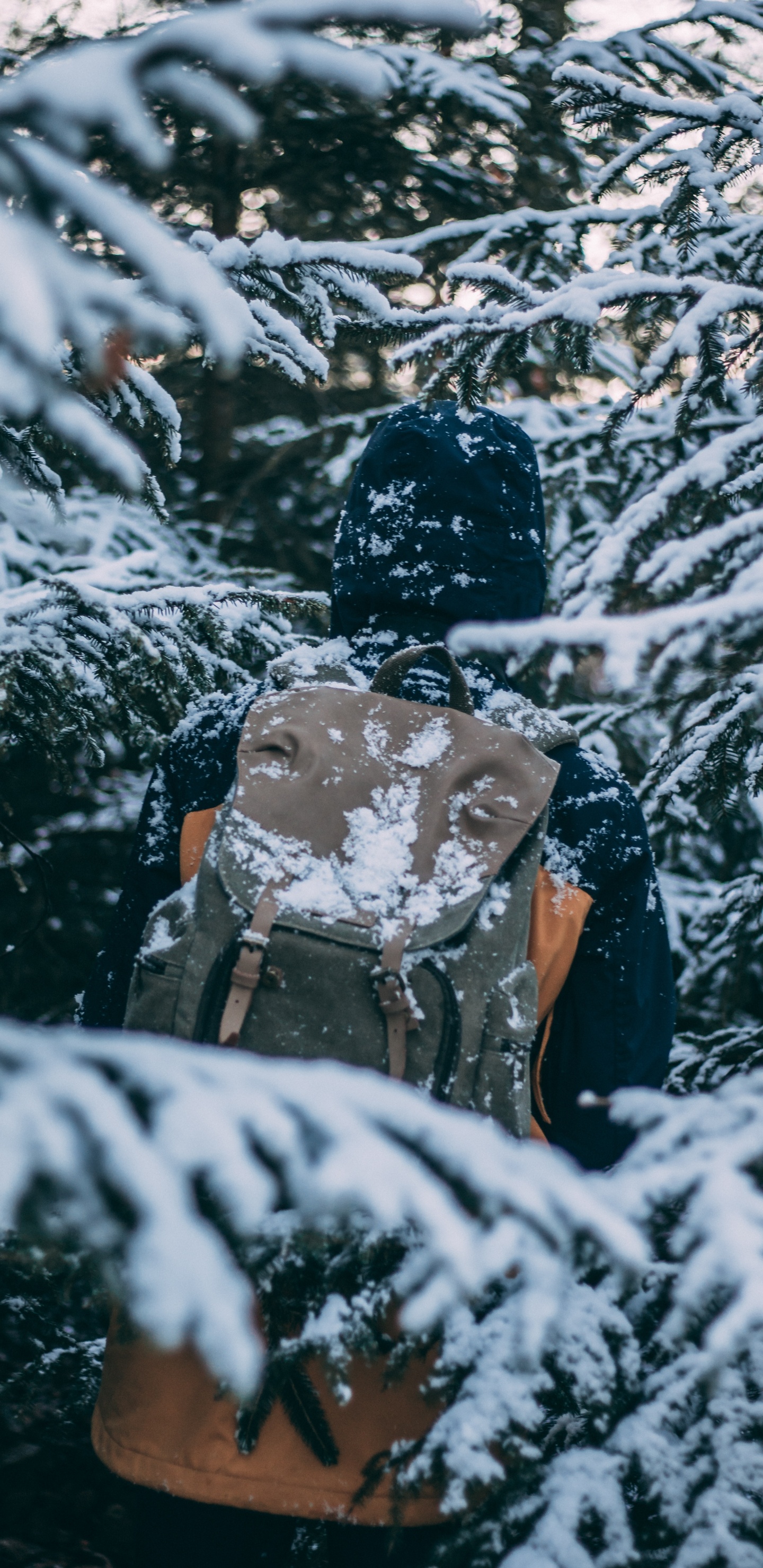 Hombre de Chaqueta Negra y Pantalón Marrón de Pie Sobre un Suelo Cubierto de Nieve Durante el Día. Wallpaper in 1440x2960 Resolution