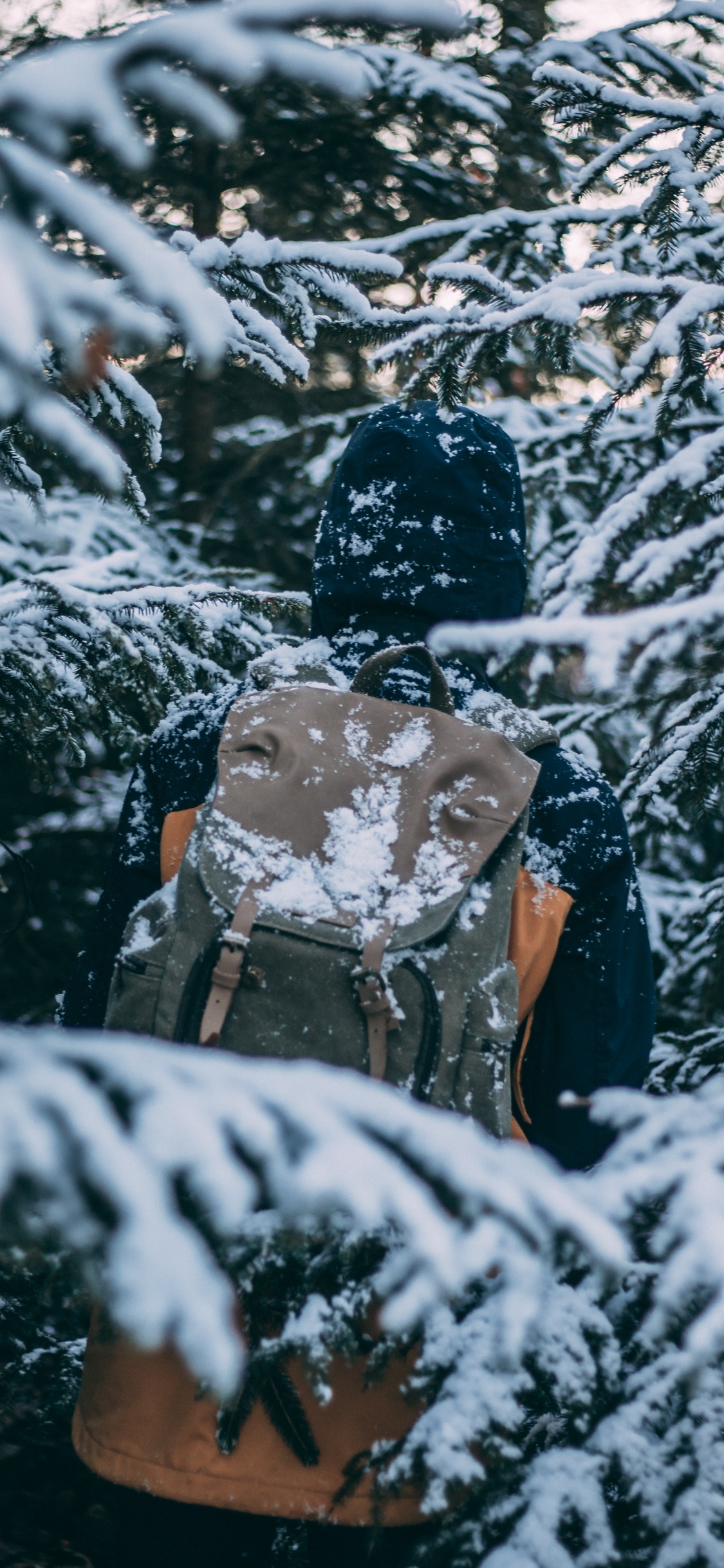 Homme en Veste Noire et Pantalon Marron Debout Sur un Sol Couvert de Neige Pendant la Journée. Wallpaper in 1125x2436 Resolution