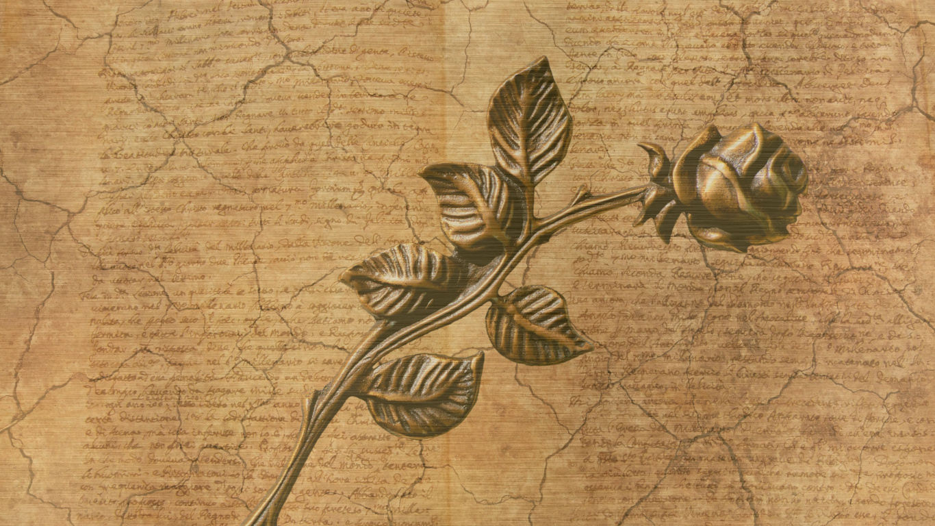 植物干, 编辑, 笔记本, 写作, 工厂 壁纸 1366x768 允许