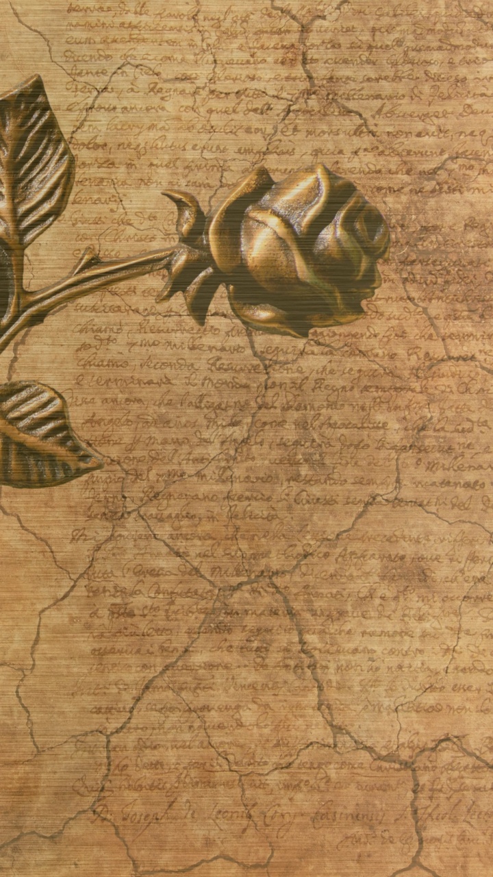 植物干, 编辑, 笔记本, 写作, 工厂 壁纸 720x1280 允许