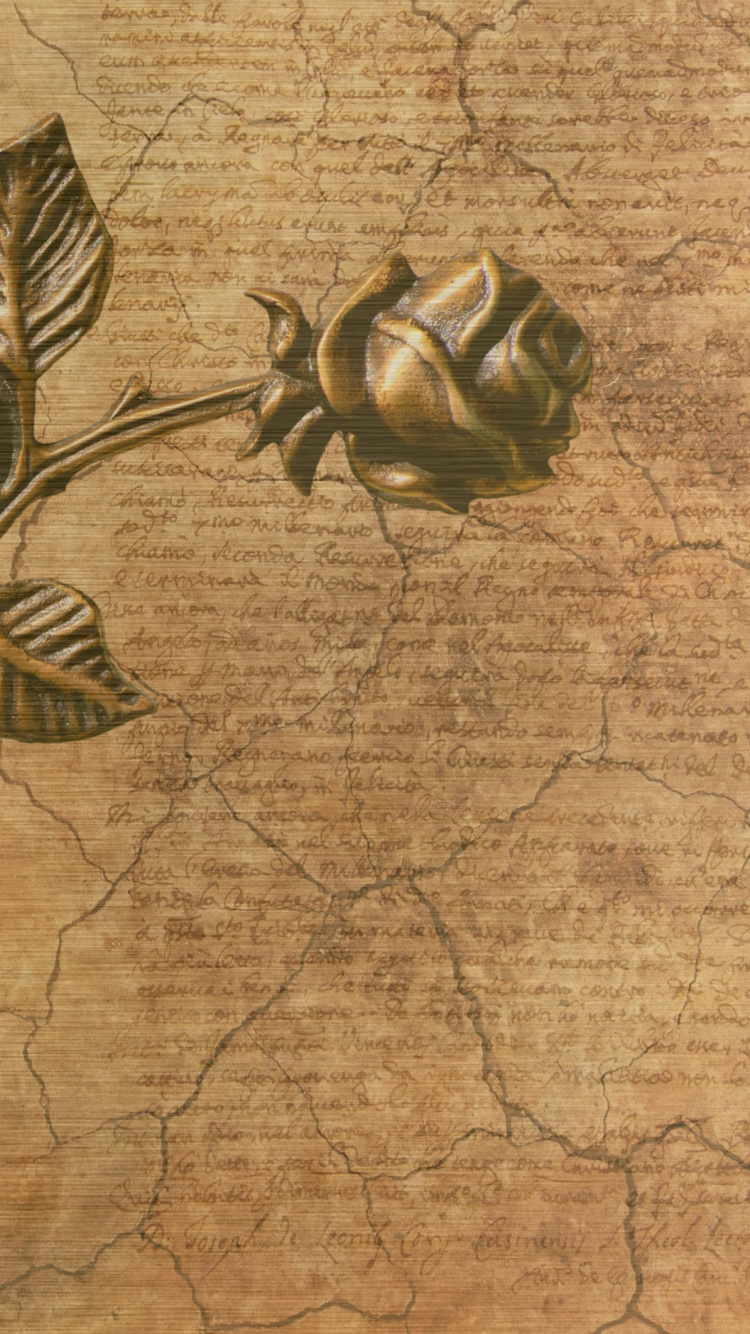 植物干, 编辑, 笔记本, 写作, 工厂 壁纸 750x1334 允许