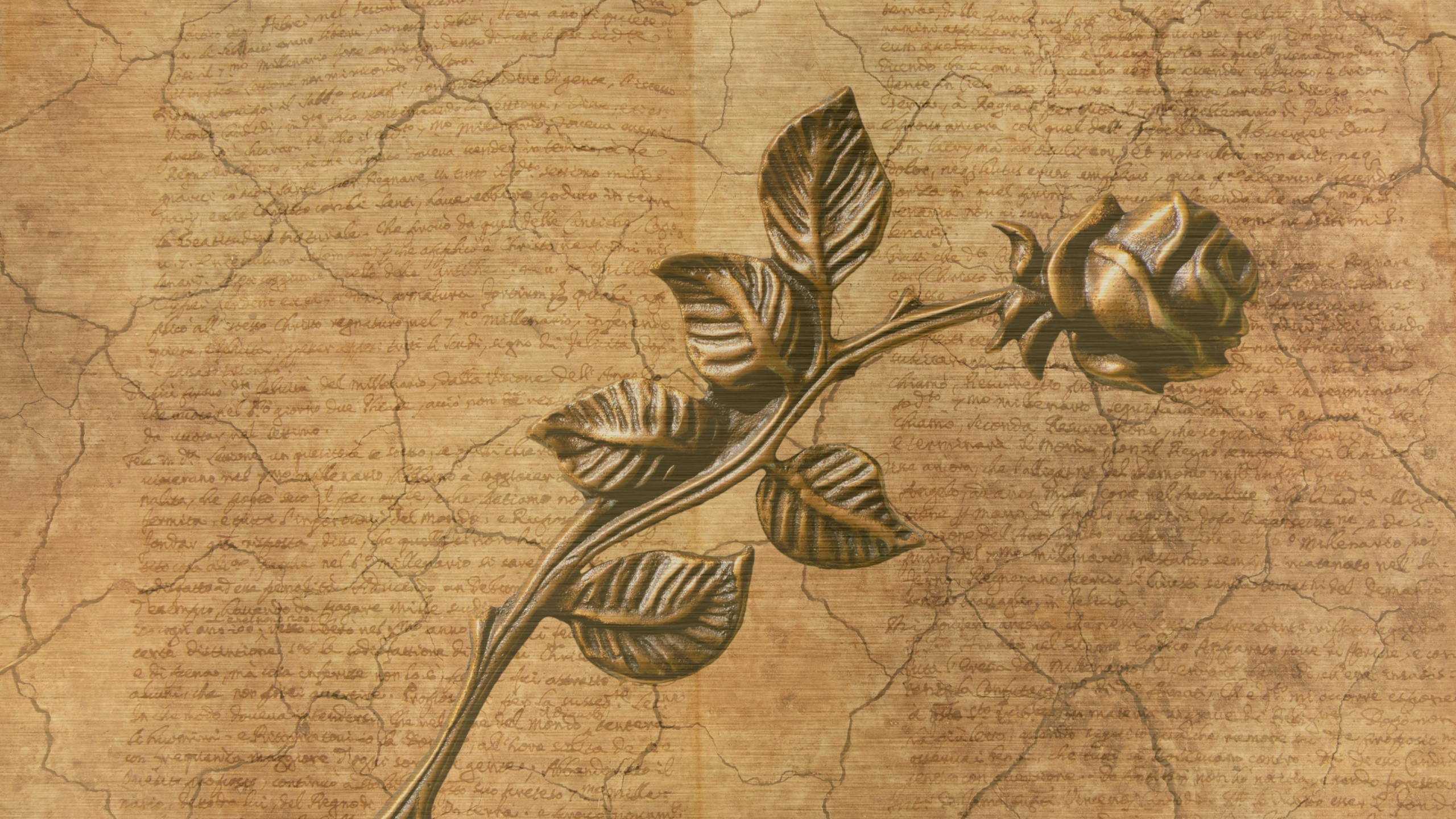 Pintura de Planta de Cebra Verde y Negro. Wallpaper in 2560x1440 Resolution