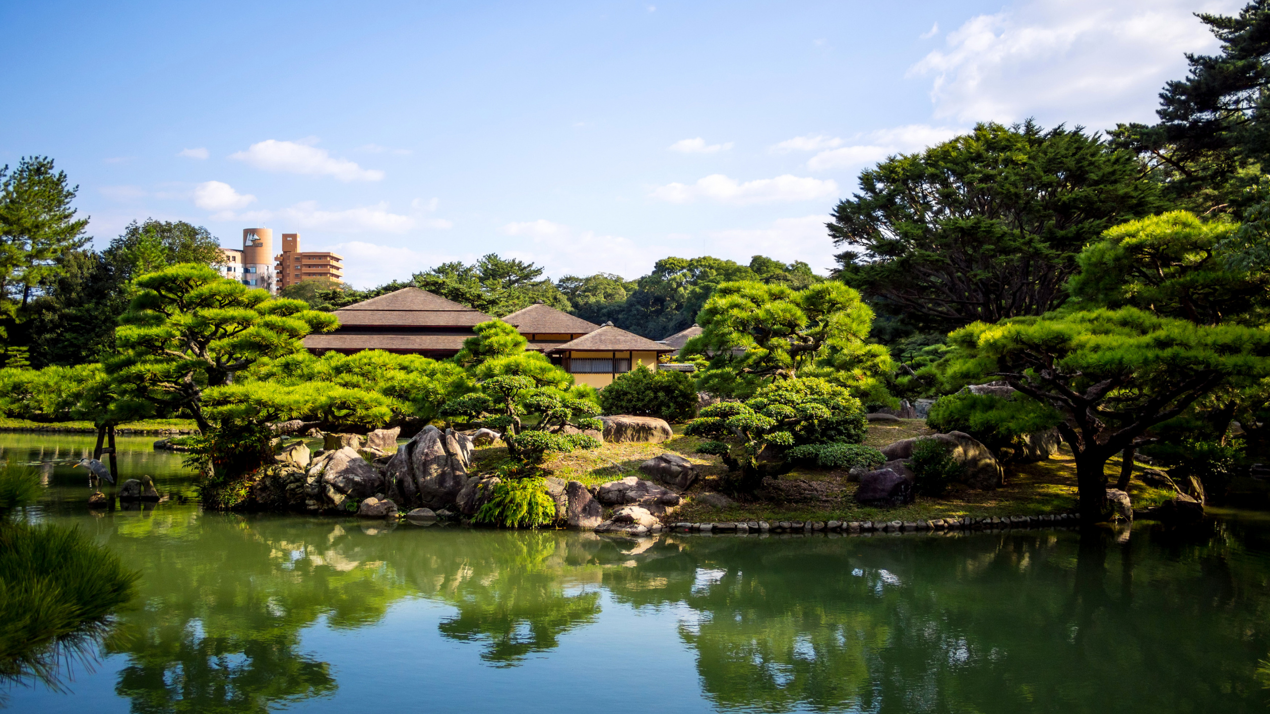 Árboles Verdes Junto al Cuerpo de Agua Durante el Día. Wallpaper in 2560x1440 Resolution