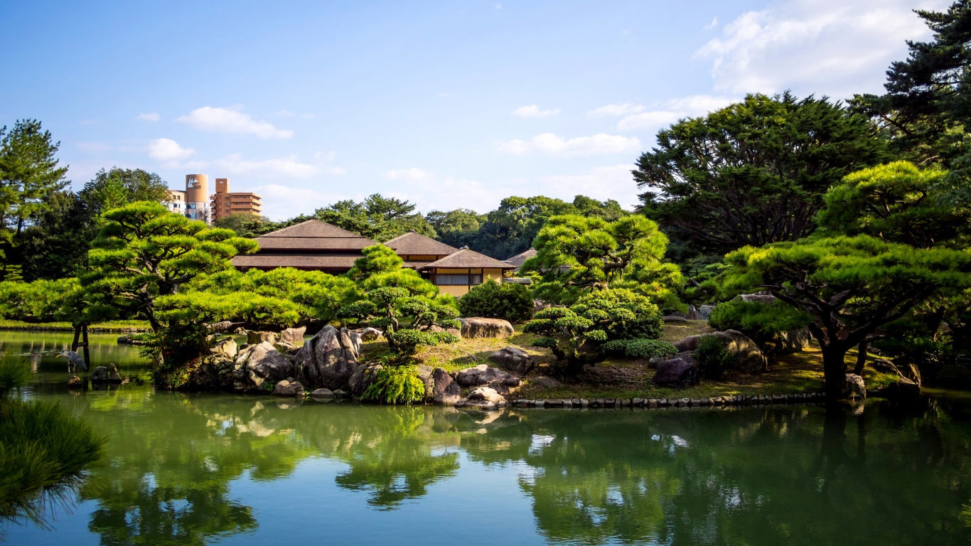 Green Trees Beside Body of Water During Daytime. Wallpaper in 1366x768 Resolution