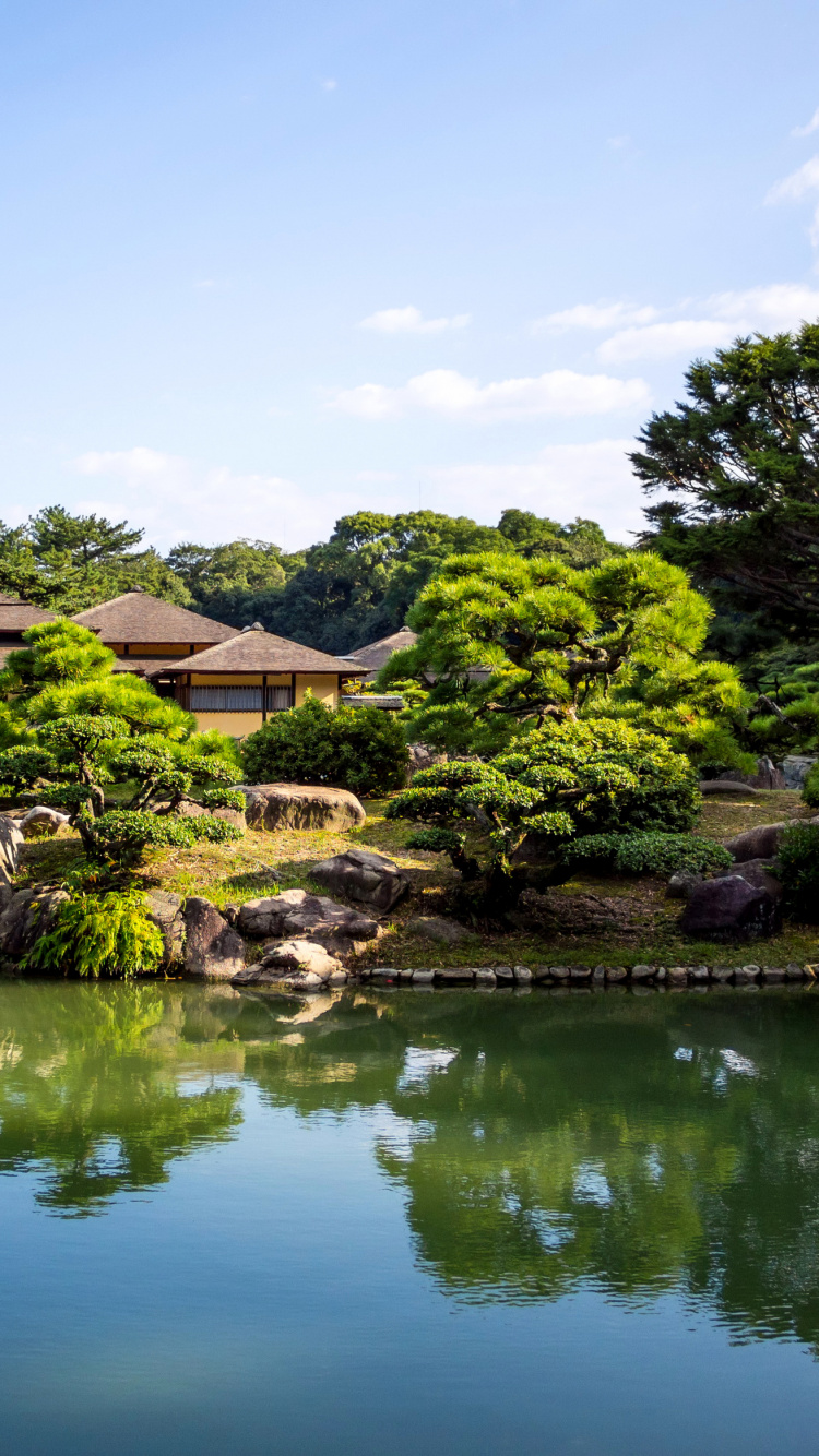Green Trees Beside Body of Water During Daytime. Wallpaper in 750x1334 Resolution