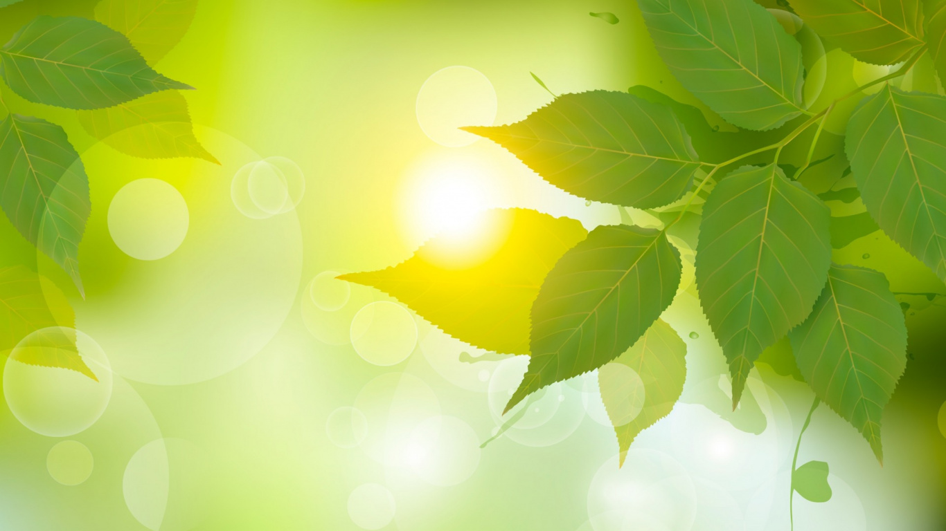 Green Leaf in Close up Photography. Wallpaper in 1366x768 Resolution