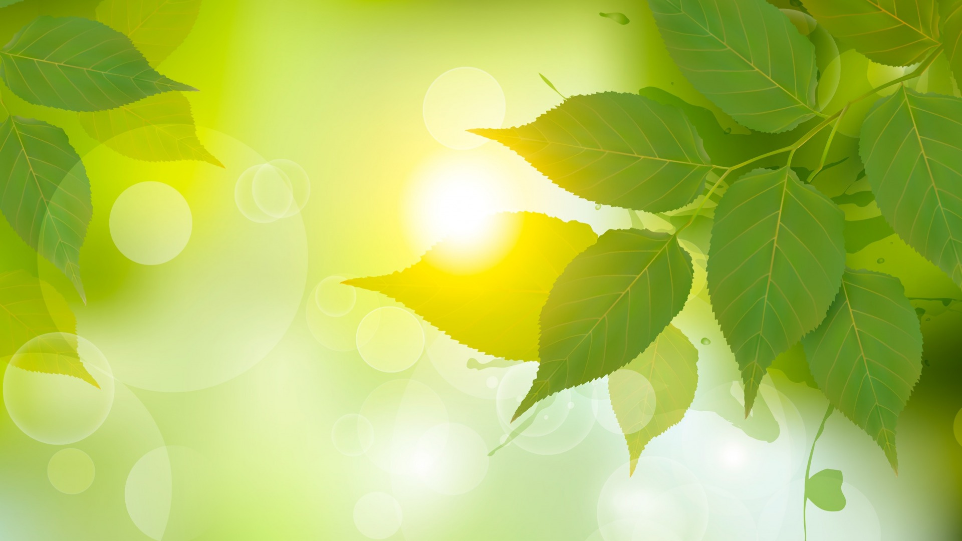 Green Leaf in Close up Photography. Wallpaper in 1920x1080 Resolution