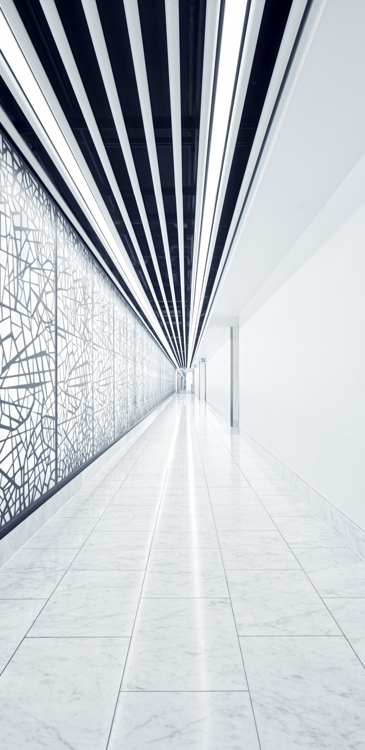 建筑, 黑色和白色的, 白色, 对称, 采光 壁纸 1440x2960 允许