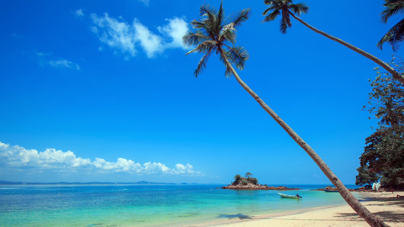 Palm Tree on White Sand Beach During Daytime. Wallpaper in 1366x768 Resolution