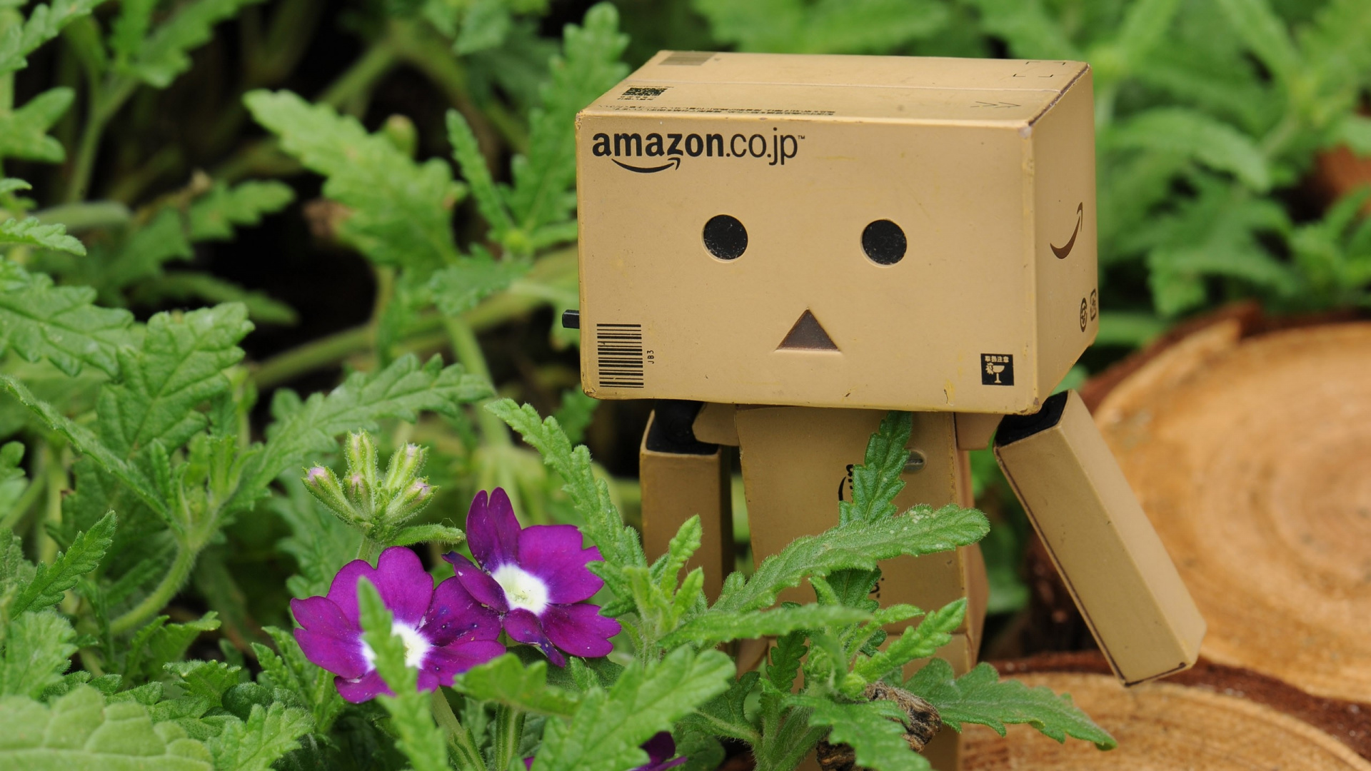 Robot de Caja de Cartón Marrón en Planta Verde. Wallpaper in 1920x1080 Resolution