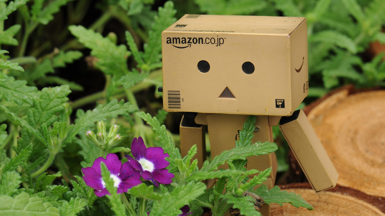 Robot de Boîte en Carton Marron Sur Plante Verte. Wallpaper in 1280x720 Resolution