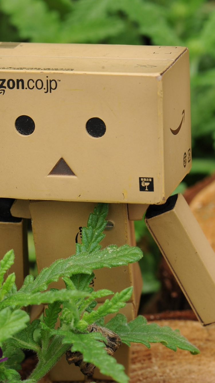 菌群, 花朵, 走路, 显花植物, Danboard 壁纸 750x1334 允许