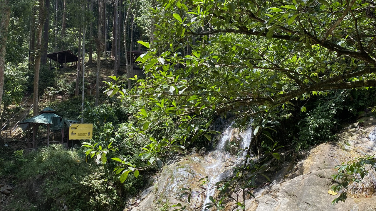 水道, 植被, 自然保护区, 性质, 自然景观 壁纸 1280x720 允许