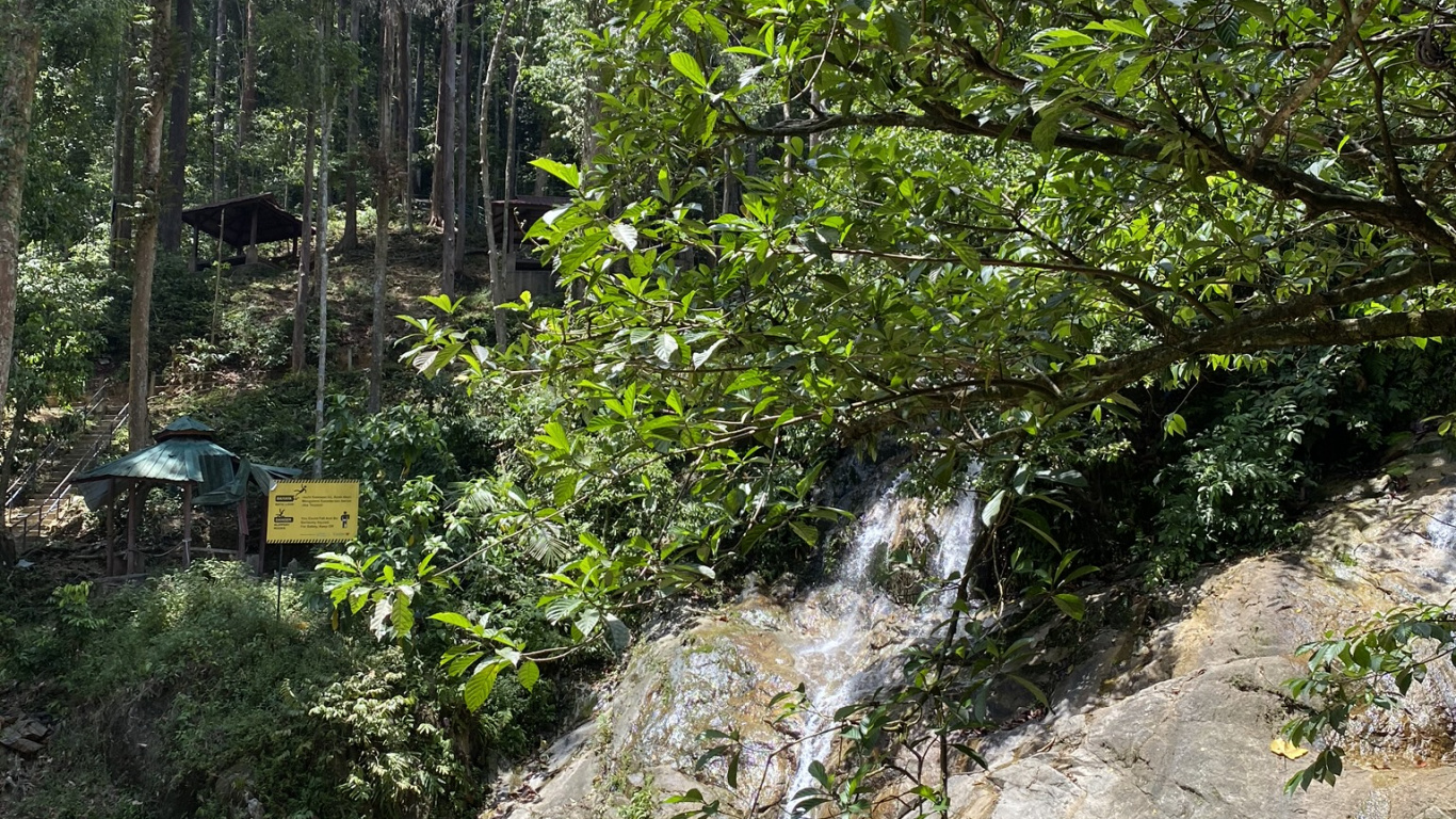 水道, 植被, 自然保护区, 性质, 自然景观 壁纸 1366x768 允许
