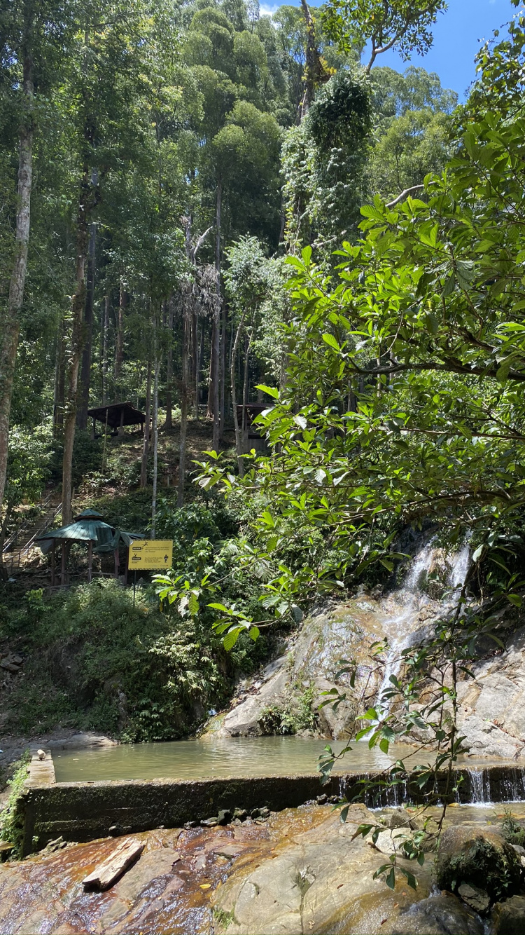 水道, 植被, 自然保护区, 性质, 自然景观 壁纸 750x1334 允许