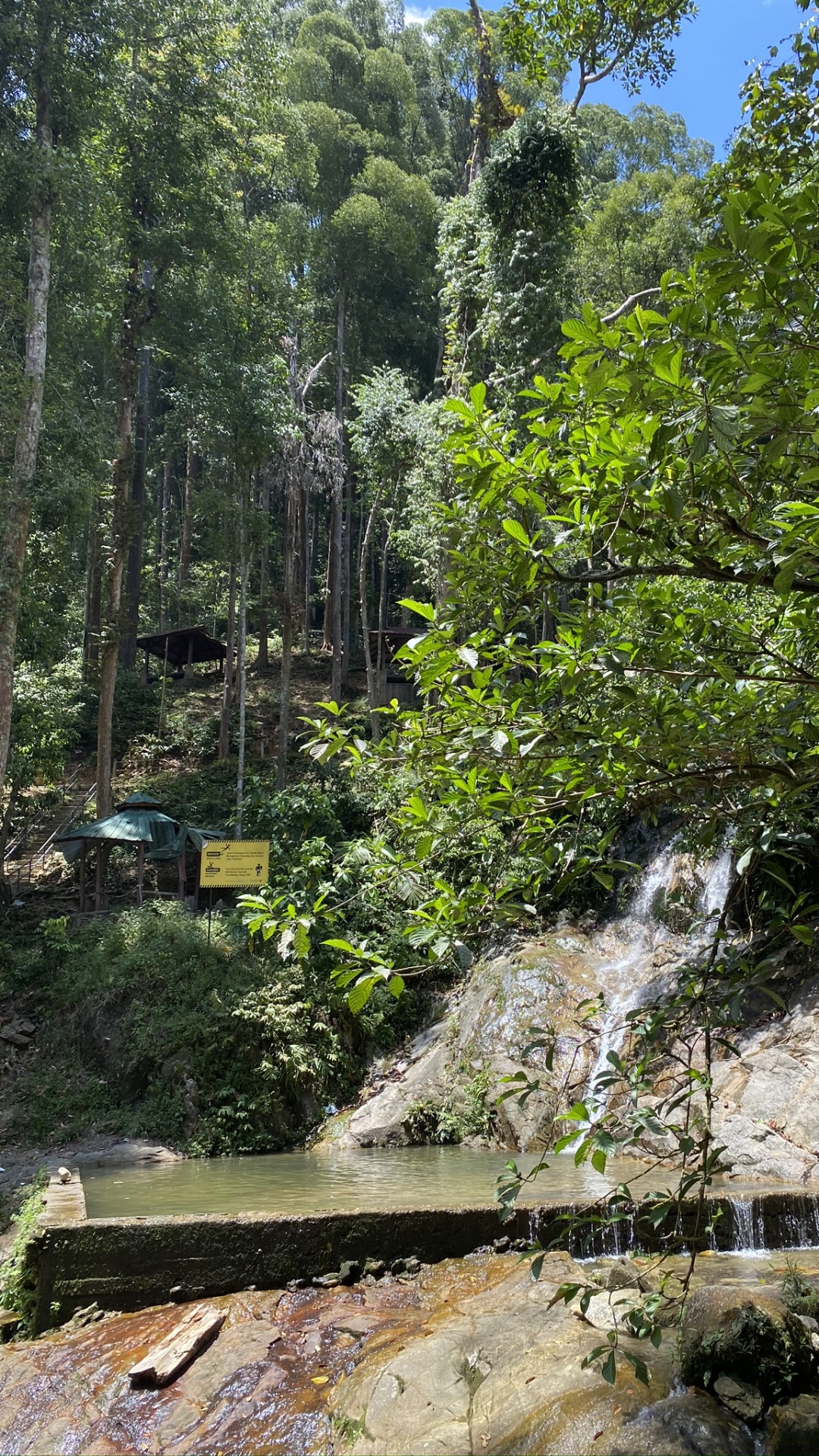 Water, Watercourse, Leaf, Vegetation, Nature Reserve. Wallpaper in 1080x1920 Resolution