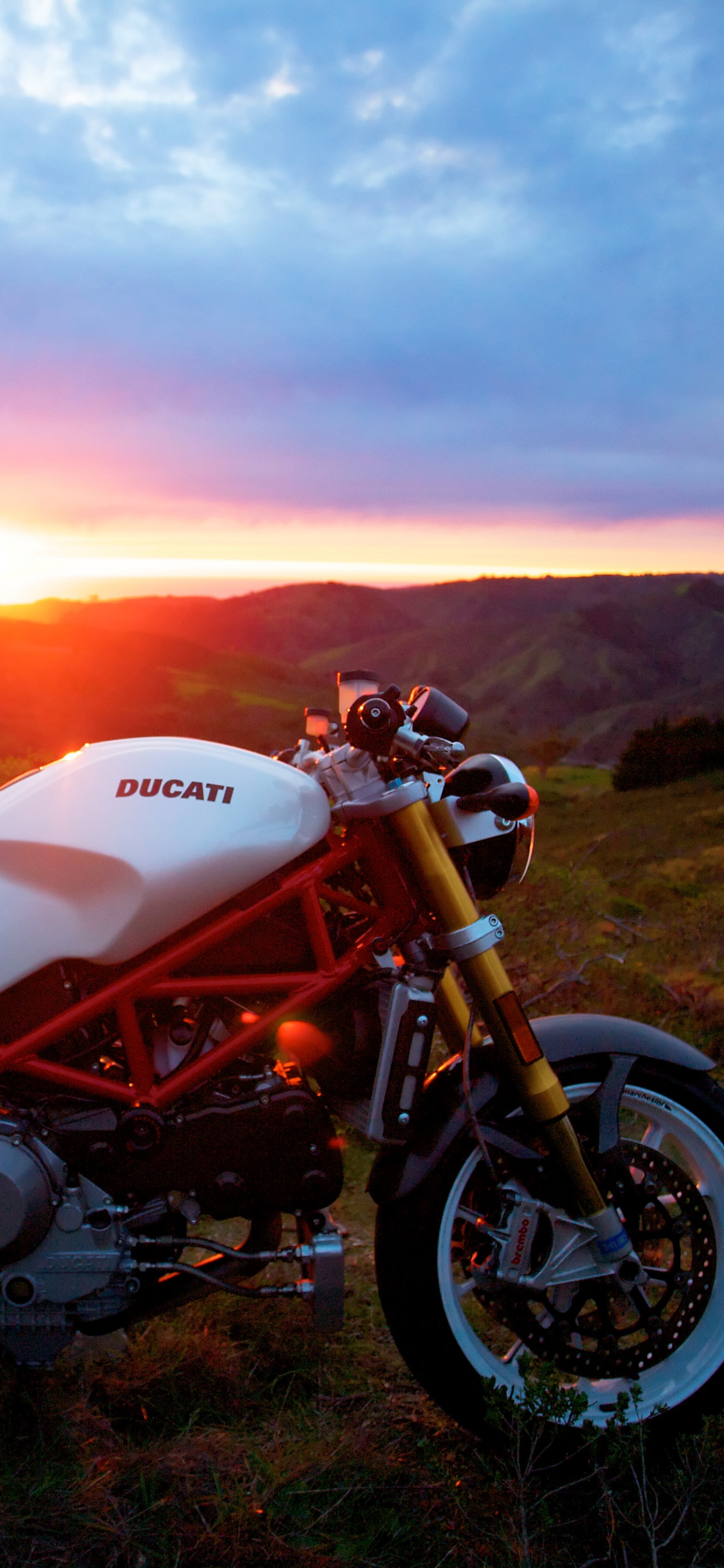 Ducati, Motocicleta, Ducati 1199, Motociclismo, Superbike Racing. Wallpaper in 1242x2688 Resolution