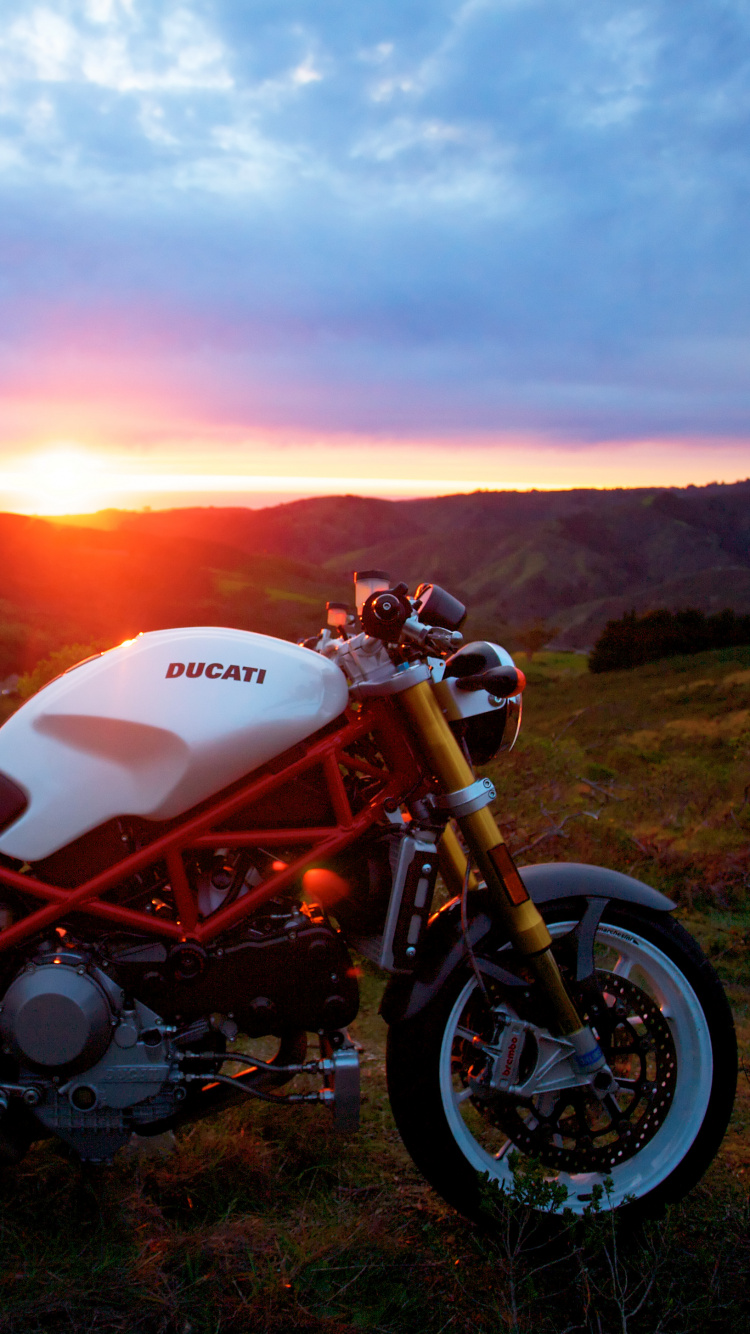 Ducati, Motocicleta, Ducati 1199, Motociclismo, Superbike Racing. Wallpaper in 750x1334 Resolution