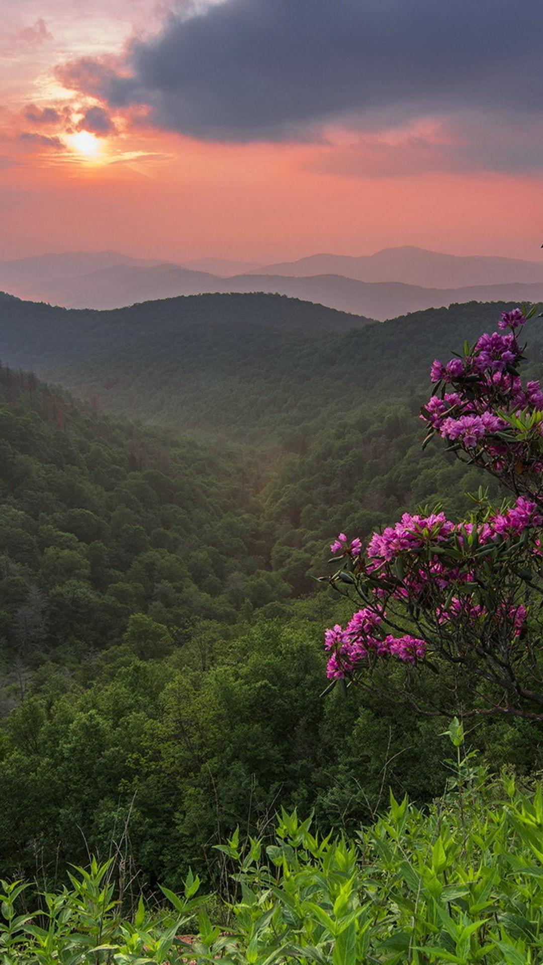性质, 植被, 自然景观, 多山的地貌, 绿色的 壁纸 1080x1920 允许