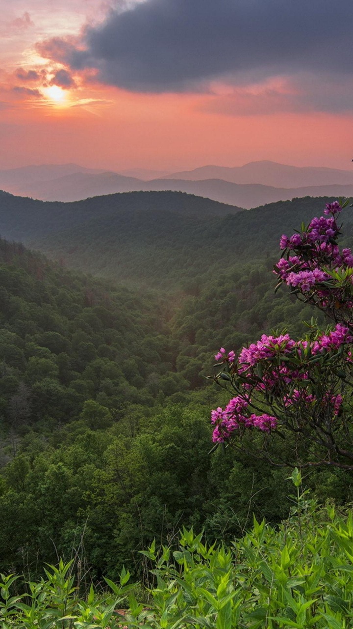 Nature, Végétation, Paysage Naturel, Les Reliefs Montagneux, Colline. Wallpaper in 720x1280 Resolution