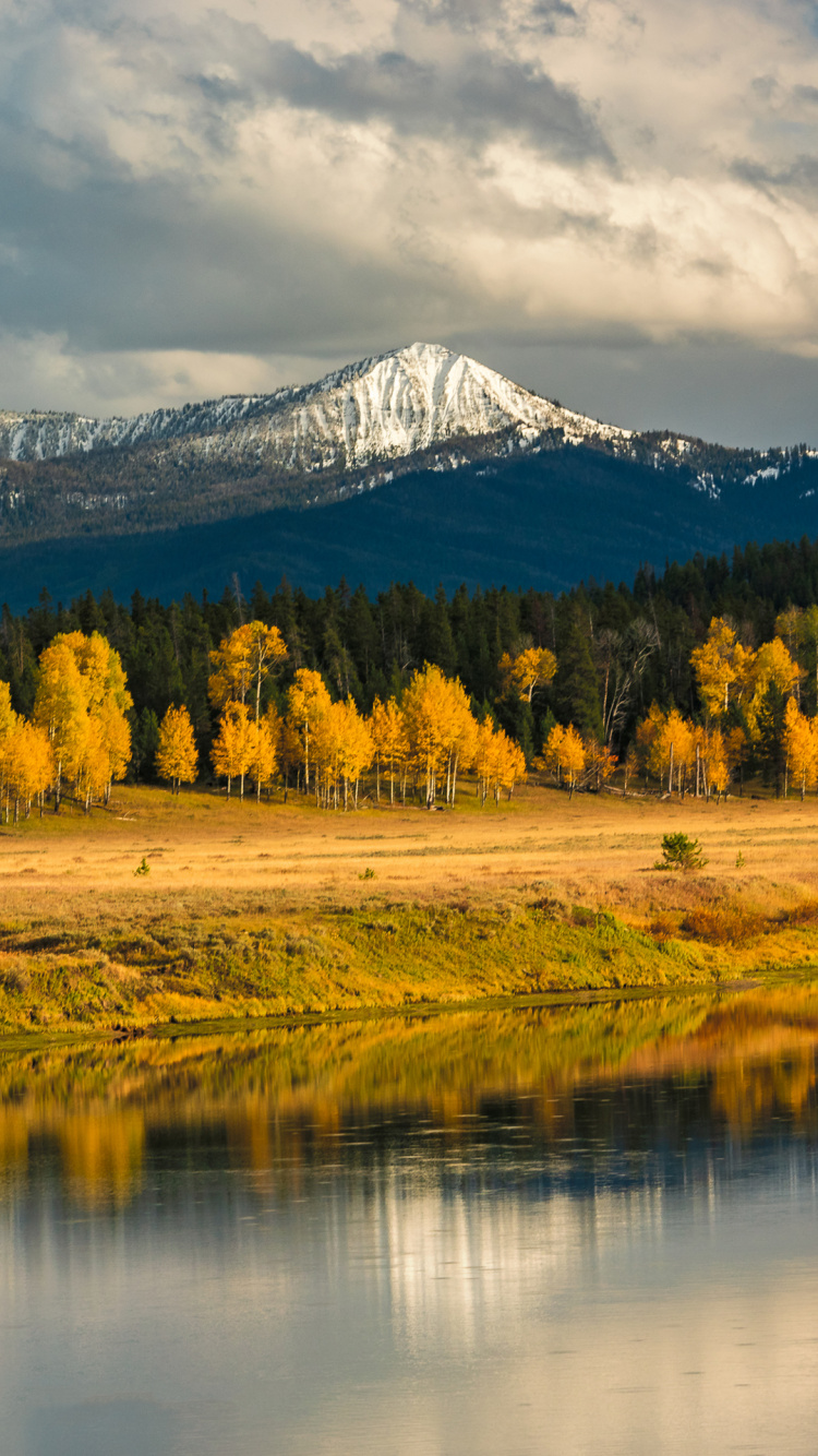 反射, 生态区, 性质, 自然景观, 自然环境 壁纸 750x1334 允许