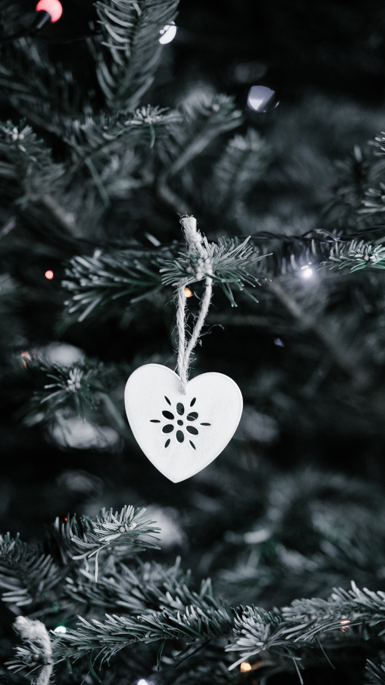 Christmas Decoration, Christmas Day, Christmas Lights, Christmas Ornament, Christmas Tree. Wallpaper in 750x1334 Resolution