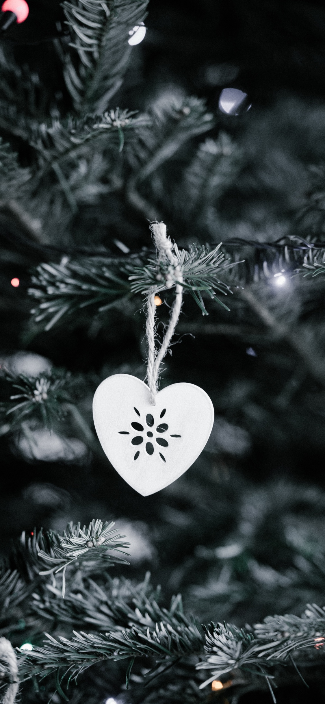 Décoration de Noël, Le Jour De Noël, Les Lumières de Noël, Ornement de Noël, Arbre de Noël. Wallpaper in 1125x2436 Resolution