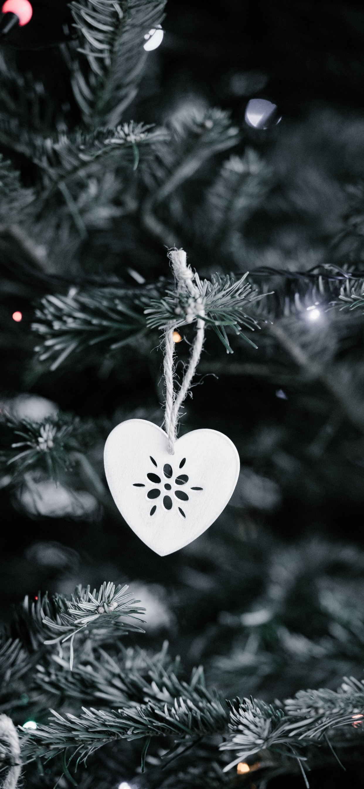 Weihnachtsdekoration, Weihnachten, Weihnachtsbeleuchtung, Christmas Ornament, Weihnachtsbaum. Wallpaper in 1242x2688 Resolution