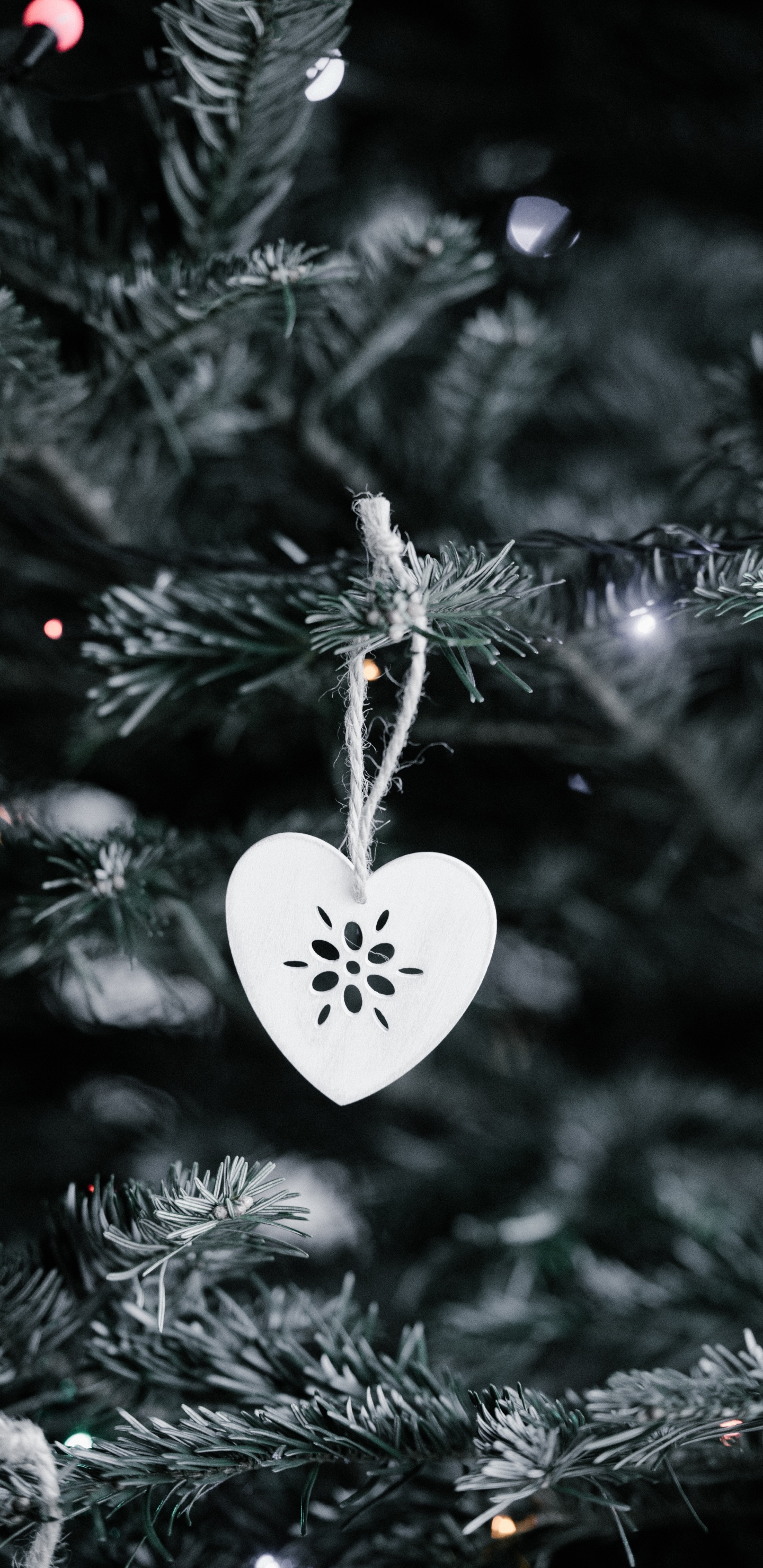 Weihnachtsdekoration, Weihnachten, Weihnachtsbeleuchtung, Christmas Ornament, Weihnachtsbaum. Wallpaper in 1440x2960 Resolution