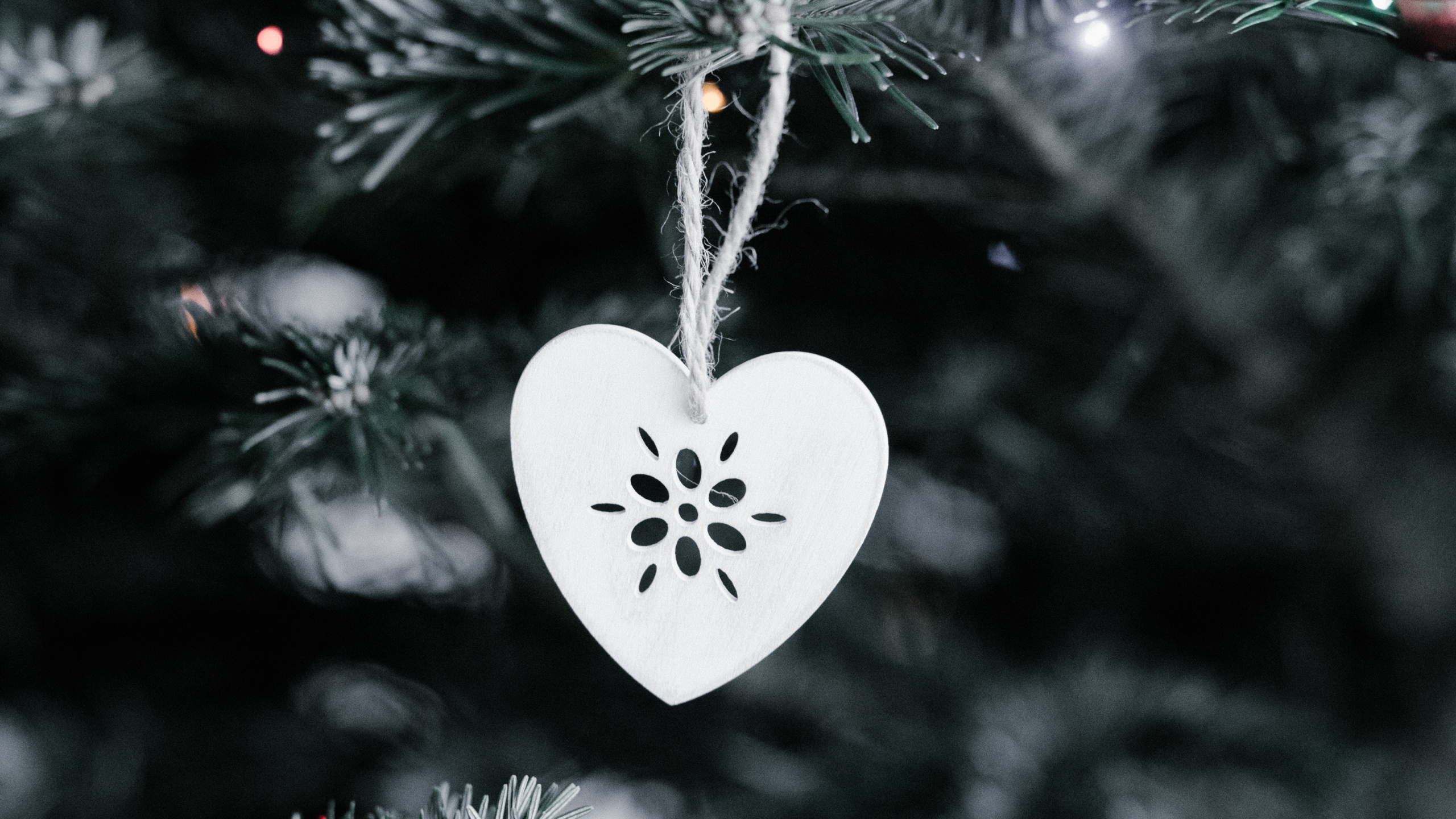 Weihnachtsdekoration, Weihnachten, Weihnachtsbeleuchtung, Christmas Ornament, Weihnachtsbaum. Wallpaper in 2560x1440 Resolution