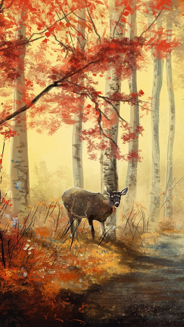 Ciervos en la Carretera Entre Árboles Durante el Día. Wallpaper in 720x1280 Resolution
