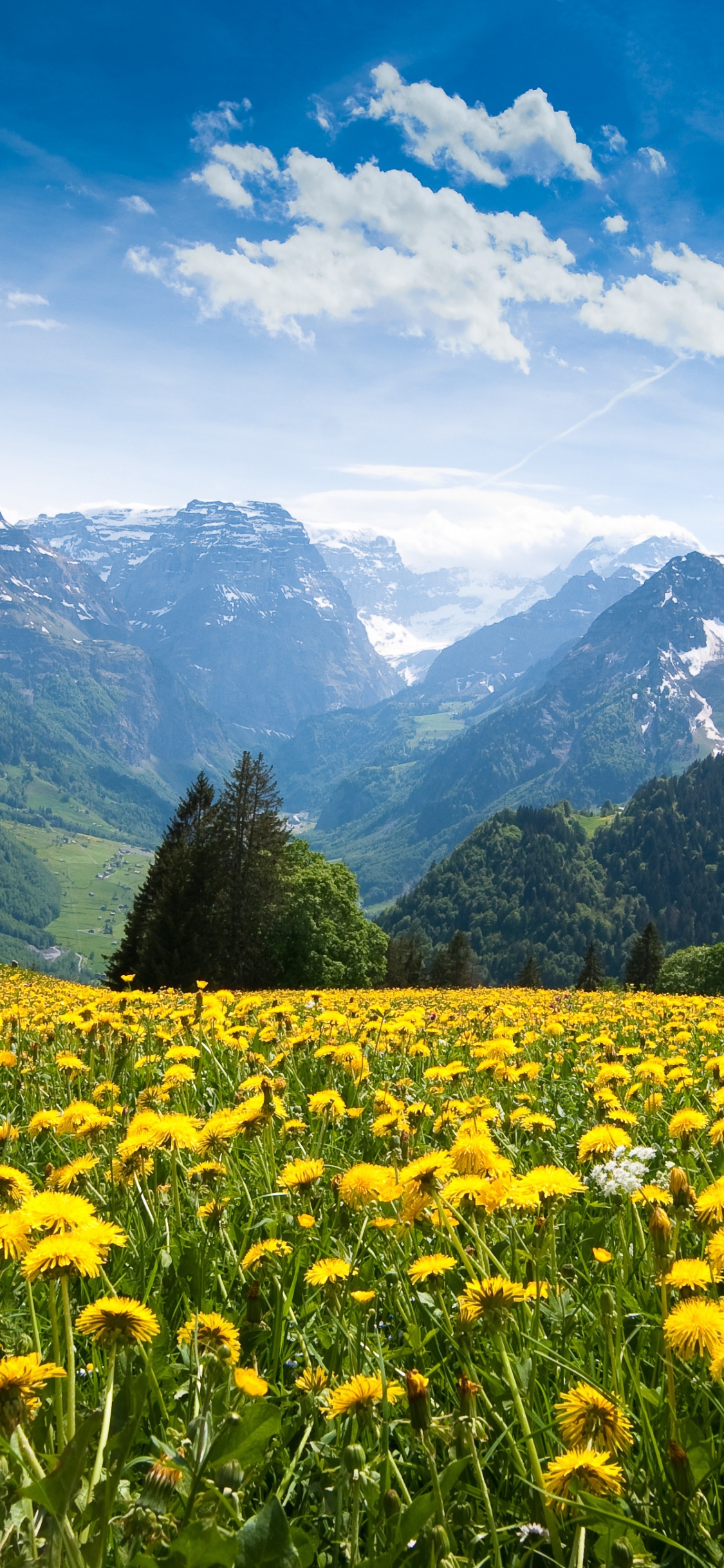 Grüne Wiese in Der Nähe Von Grünen Bergen Unter Blauem Himmel Tagsüber Sky. Wallpaper in 1125x2436 Resolution