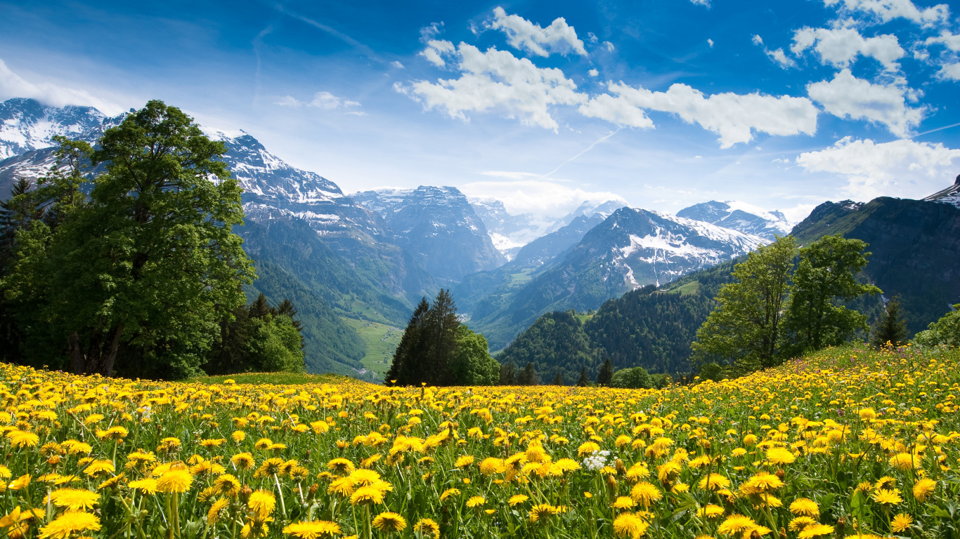 Grüne Wiese in Der Nähe Von Grünen Bergen Unter Blauem Himmel Tagsüber Sky. Wallpaper in 1366x768 Resolution