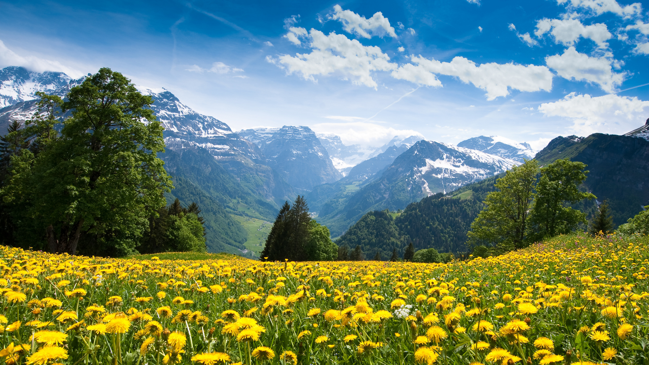 Grüne Wiese in Der Nähe Von Grünen Bergen Unter Blauem Himmel Tagsüber Sky. Wallpaper in 2560x1440 Resolution