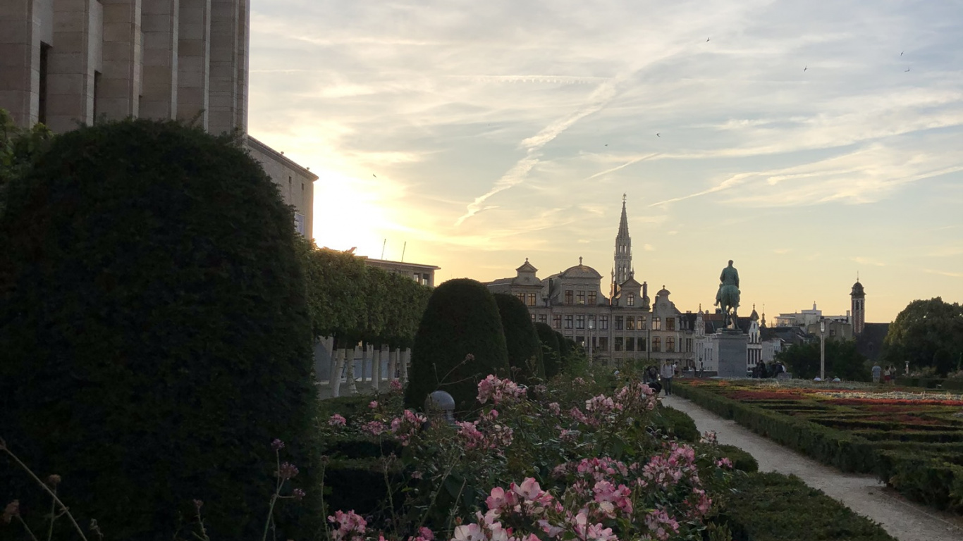 Arbuste, Zone Urbaine, Garden, Soir, Lever. Wallpaper in 1366x768 Resolution