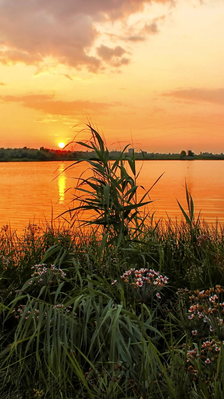 Body of Water During Sunset. Wallpaper in 720x1280 Resolution