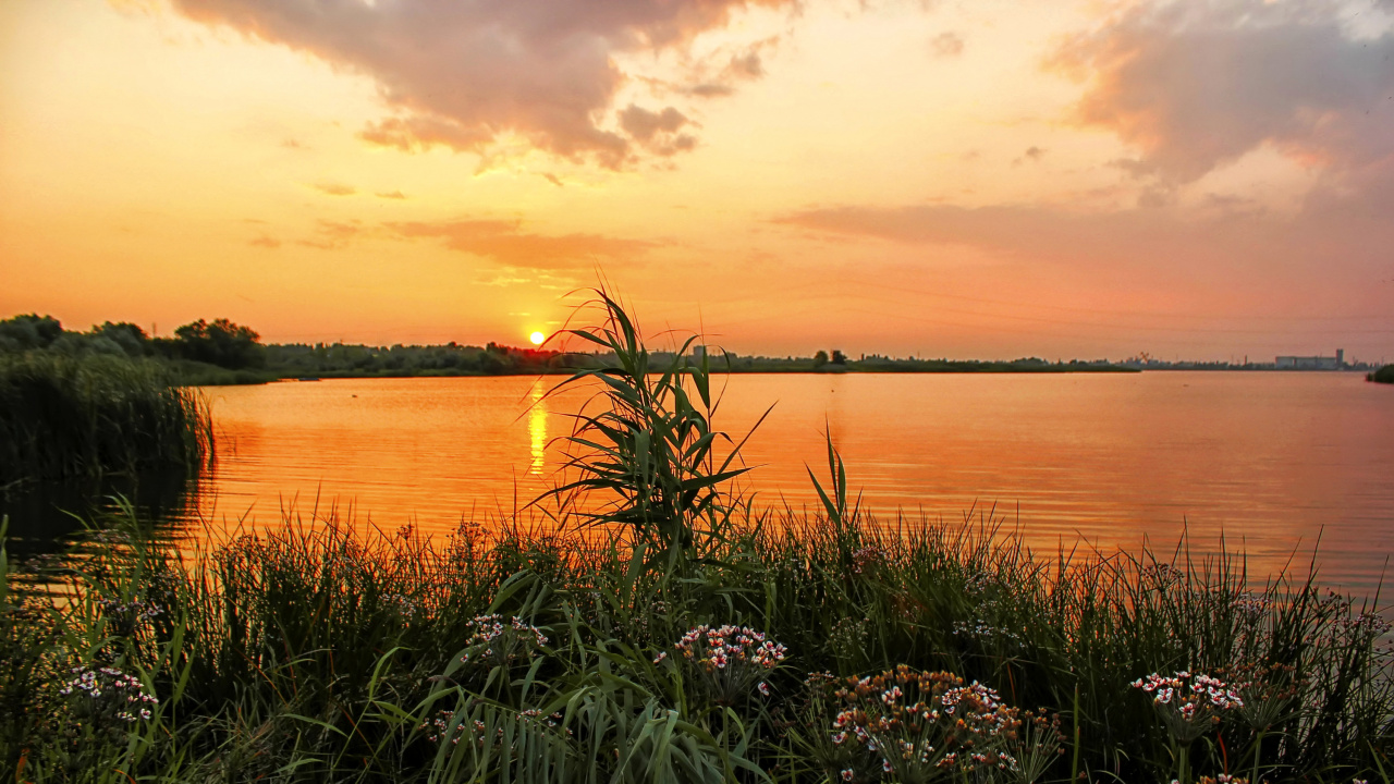 Plan D'eau au Coucher du Soleil. Wallpaper in 1280x720 Resolution