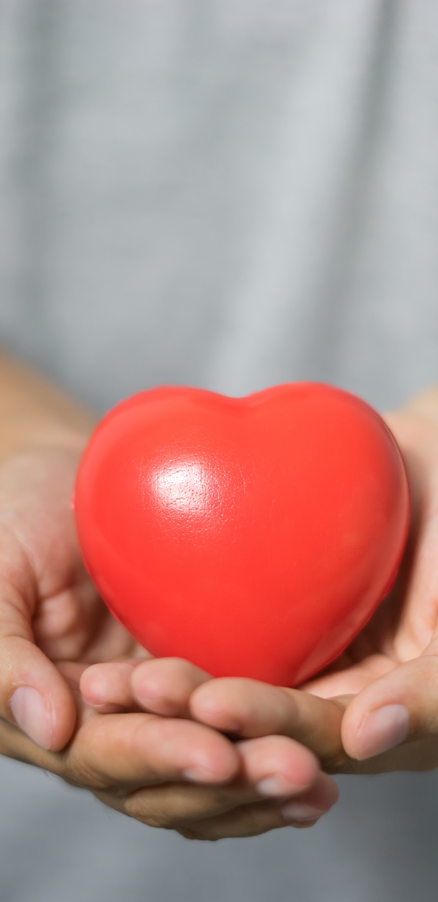 Person Holding Red Tomato Fruit. Wallpaper in 1440x2960 Resolution
