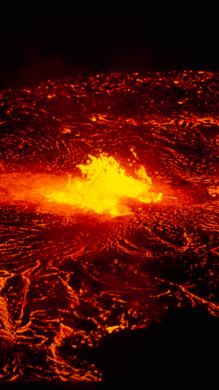 Fire in The Middle of The Forest. Wallpaper in 750x1334 Resolution