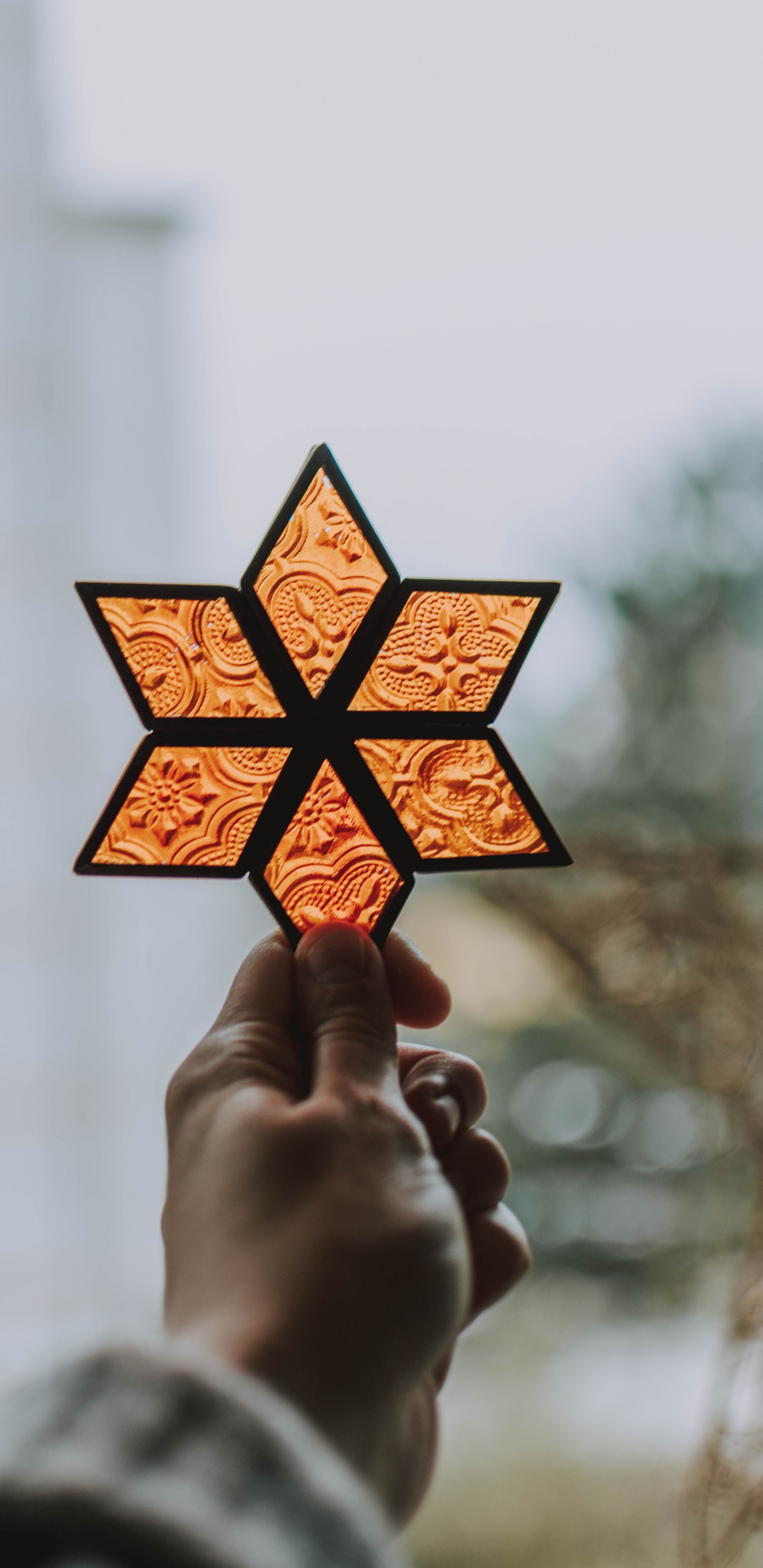 Person Holding Orange and Black Star Lantern. Wallpaper in 1440x2960 Resolution